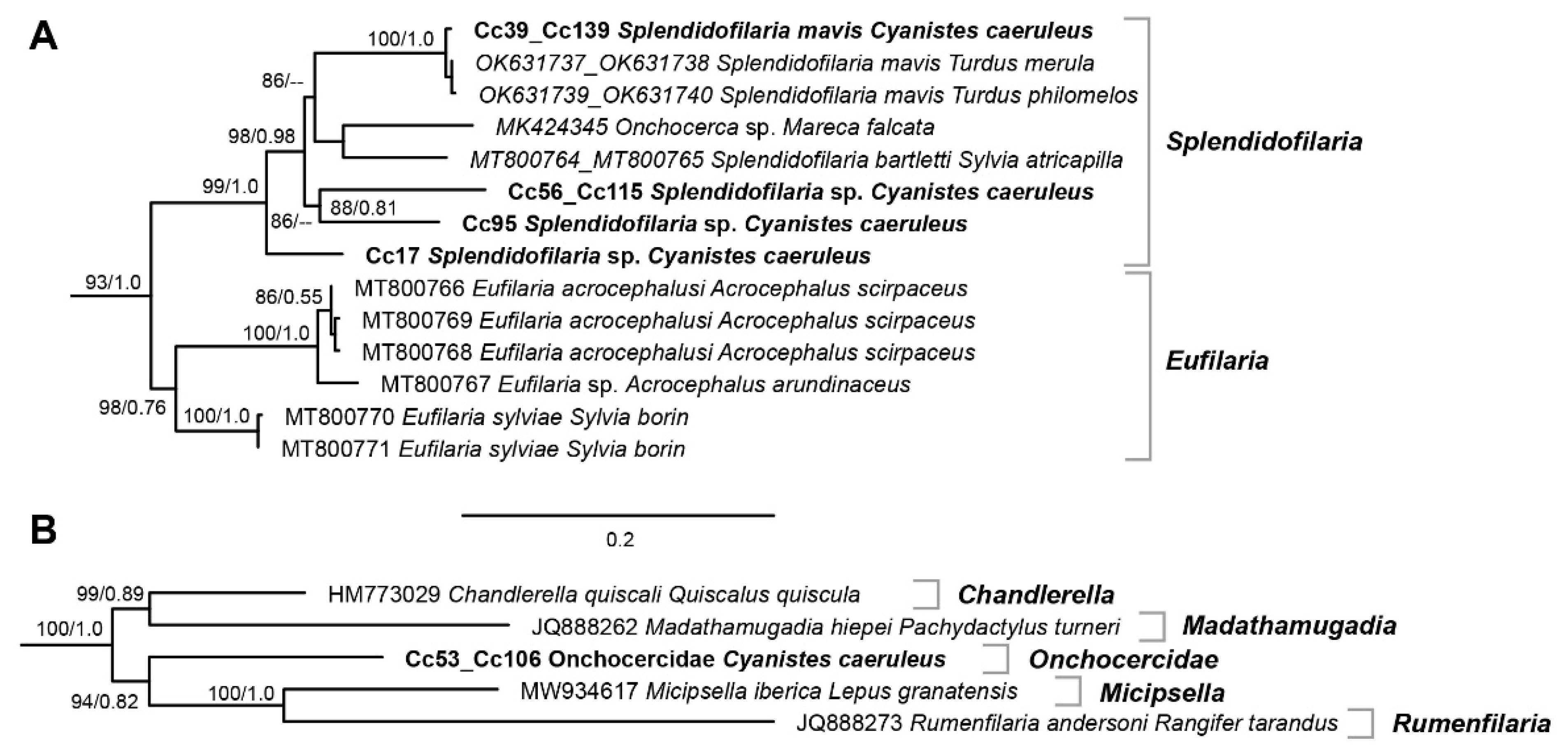 Diversity 15 00609 g002