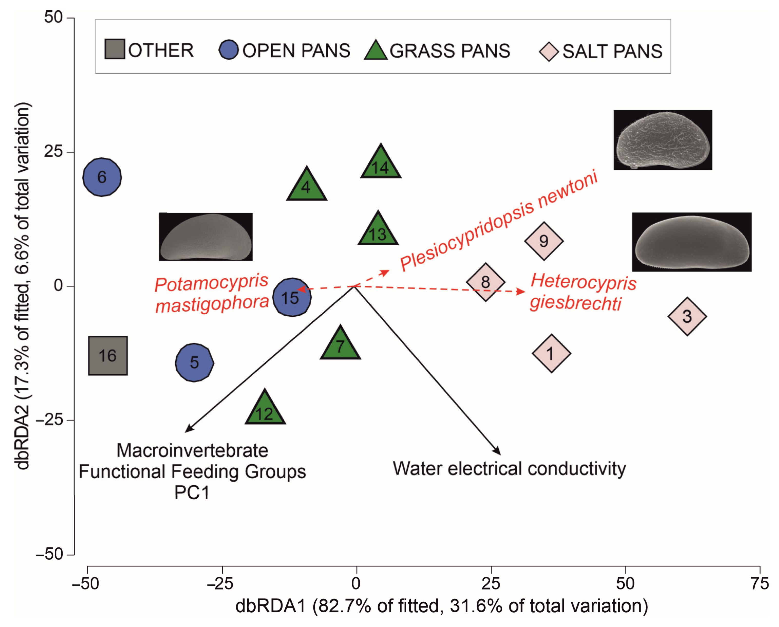 Diversity 15 00614 g006