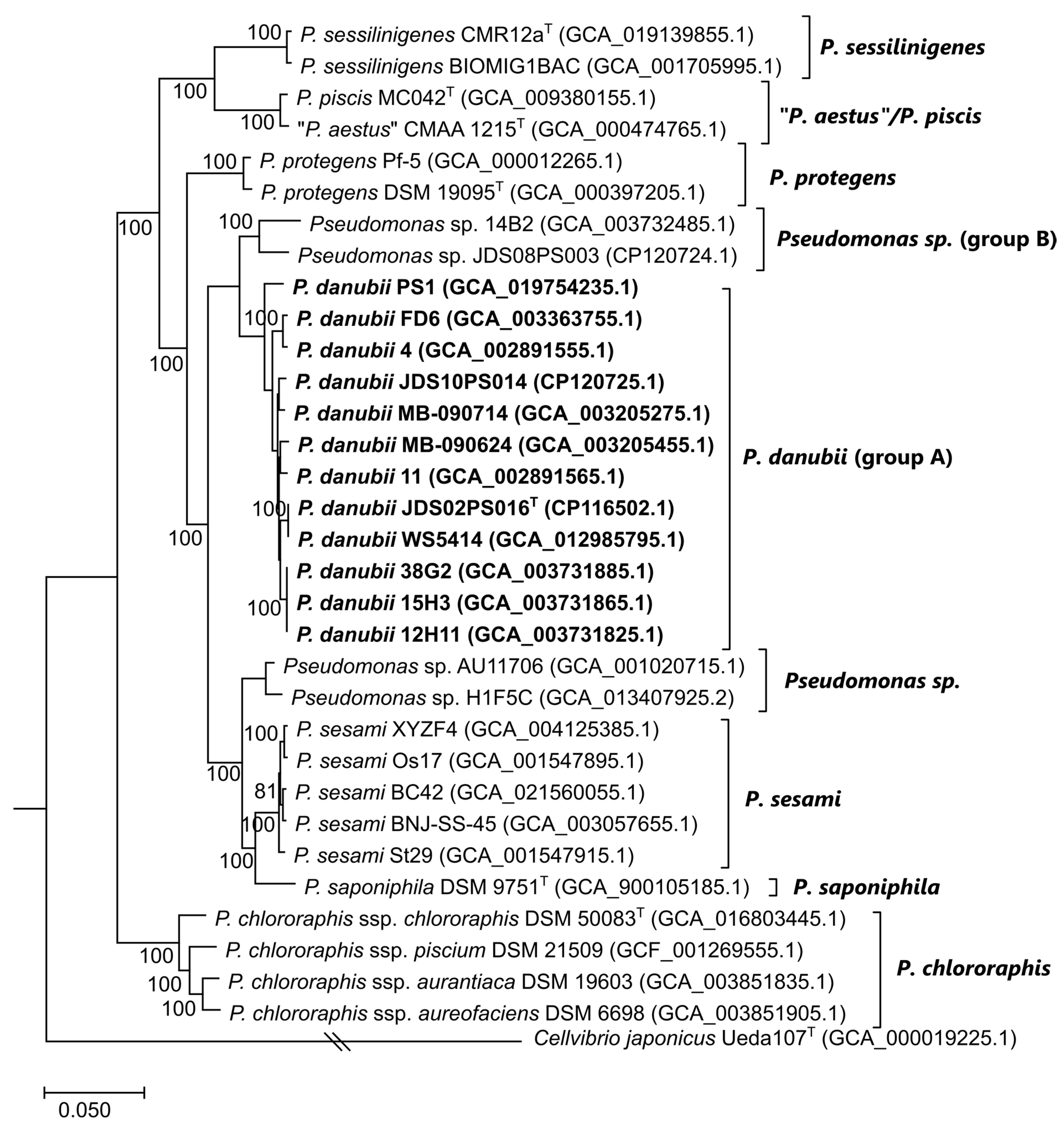 Diversity 15 00617 g003 Diversity 15 00617 g003