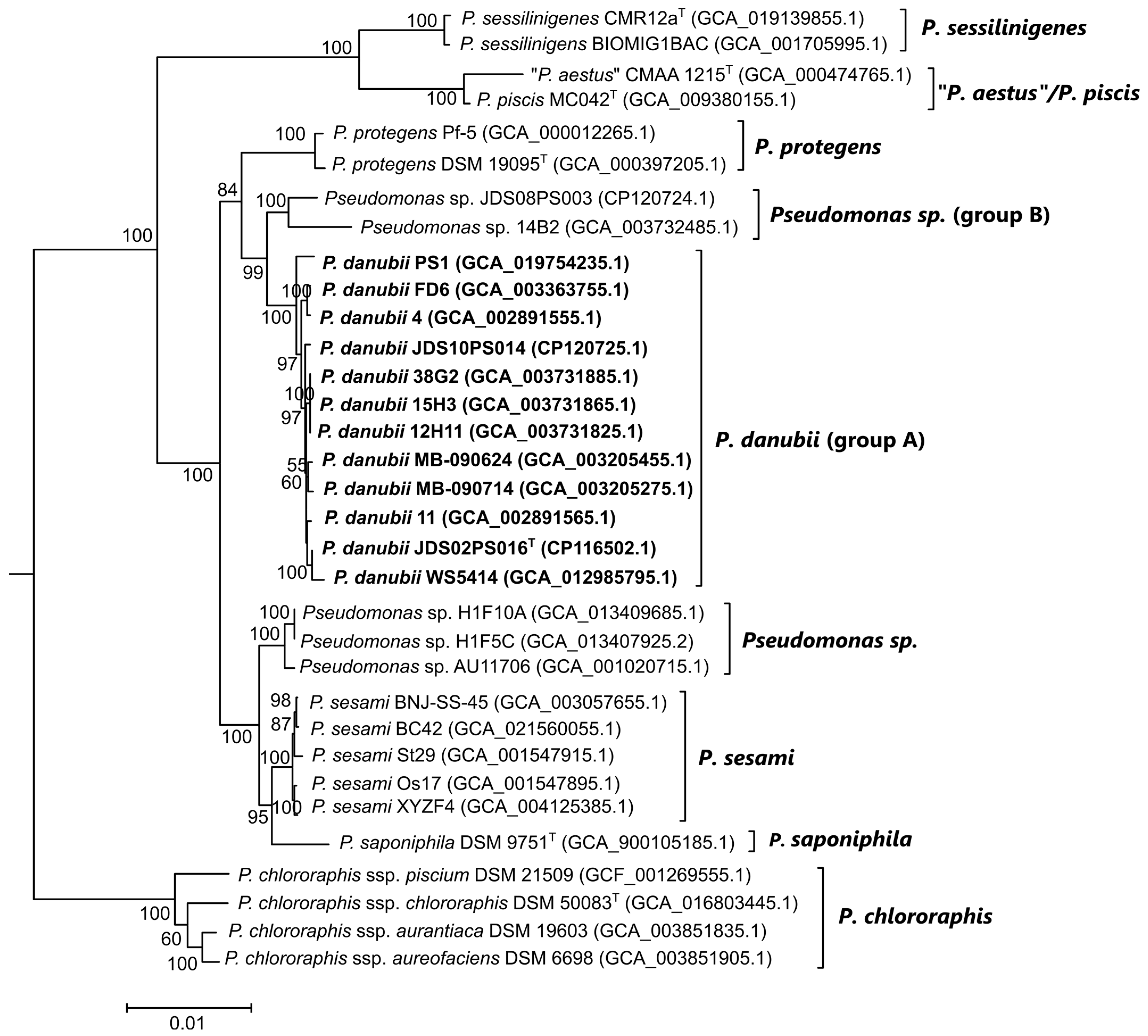 Diversity 15 00617 g004 Diversity 15 00617 g004