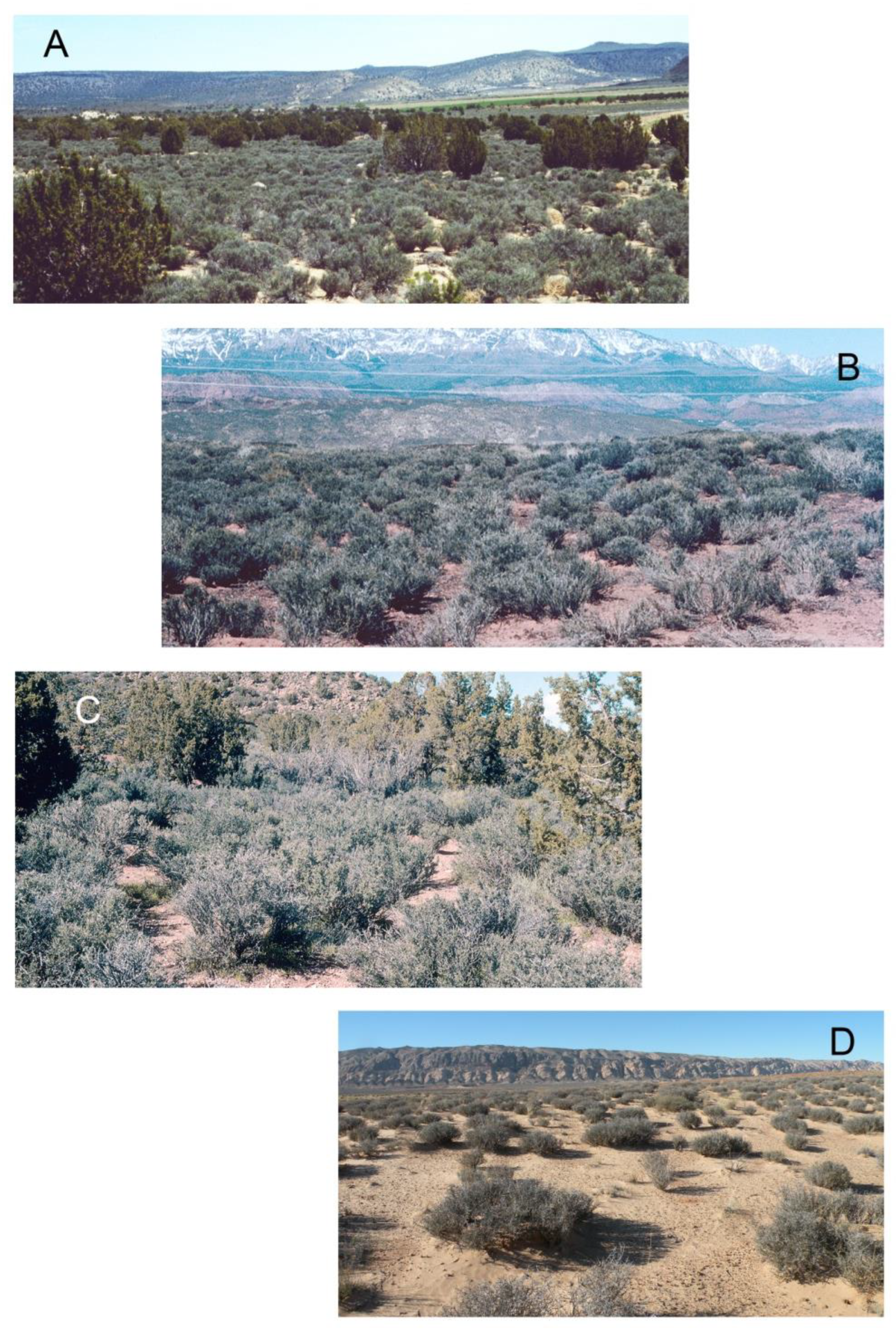 Diversity 15 00619 g001 Diversity 15 00619 g001