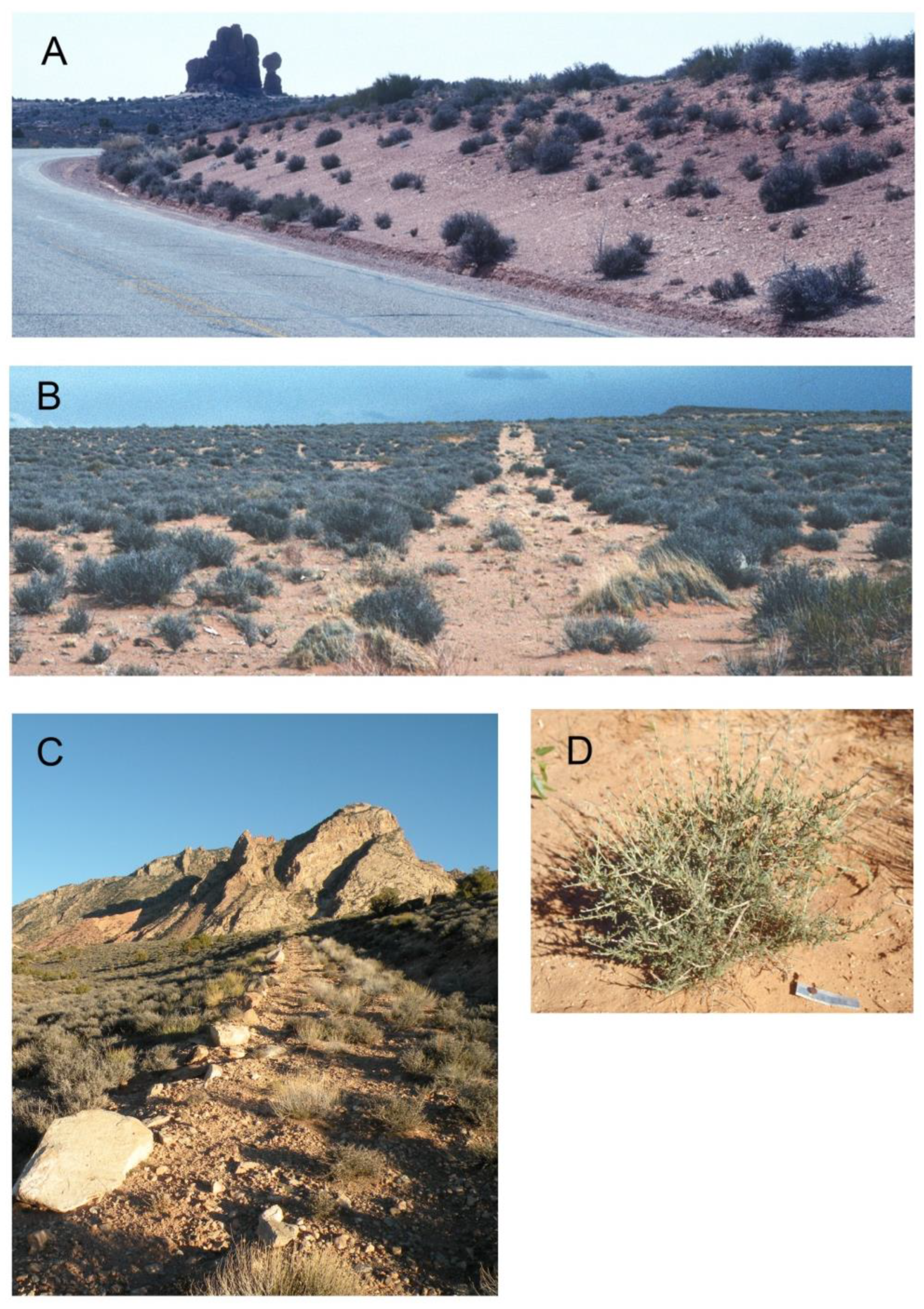 Diversity 15 00619 g008 Diversity 15 00619 g008