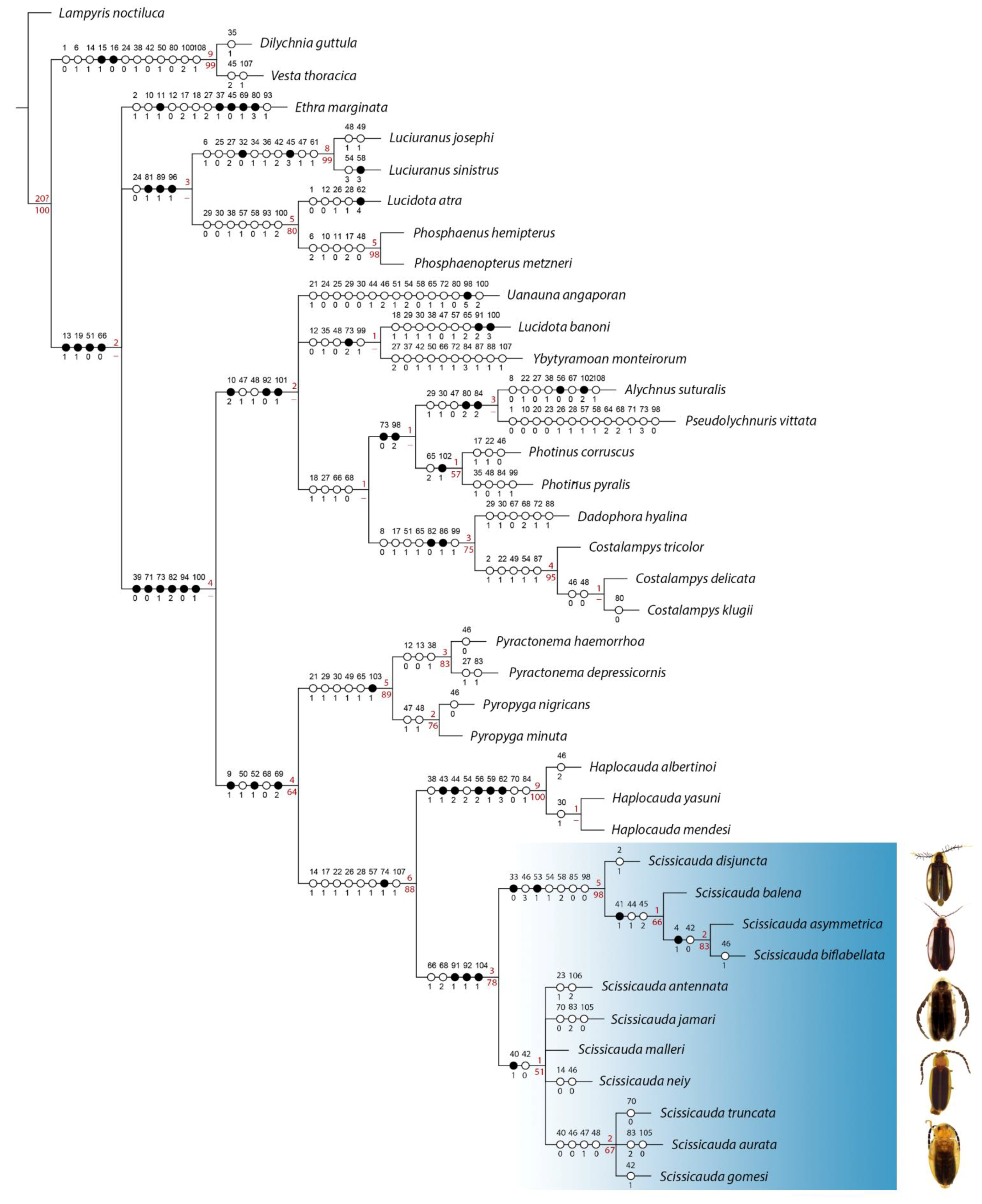 Diversity 15 00620 g001