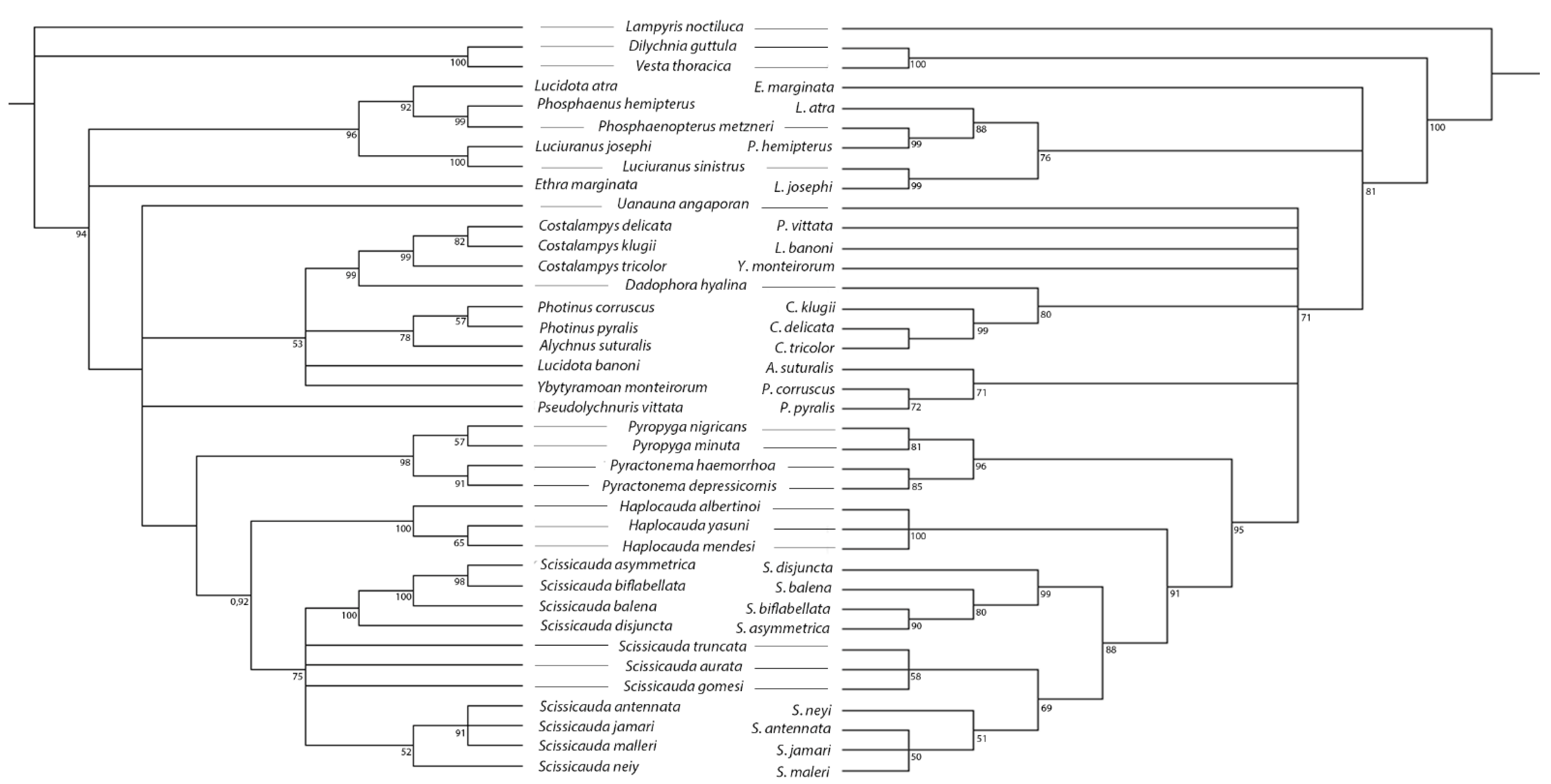 Diversity 15 00620 g002