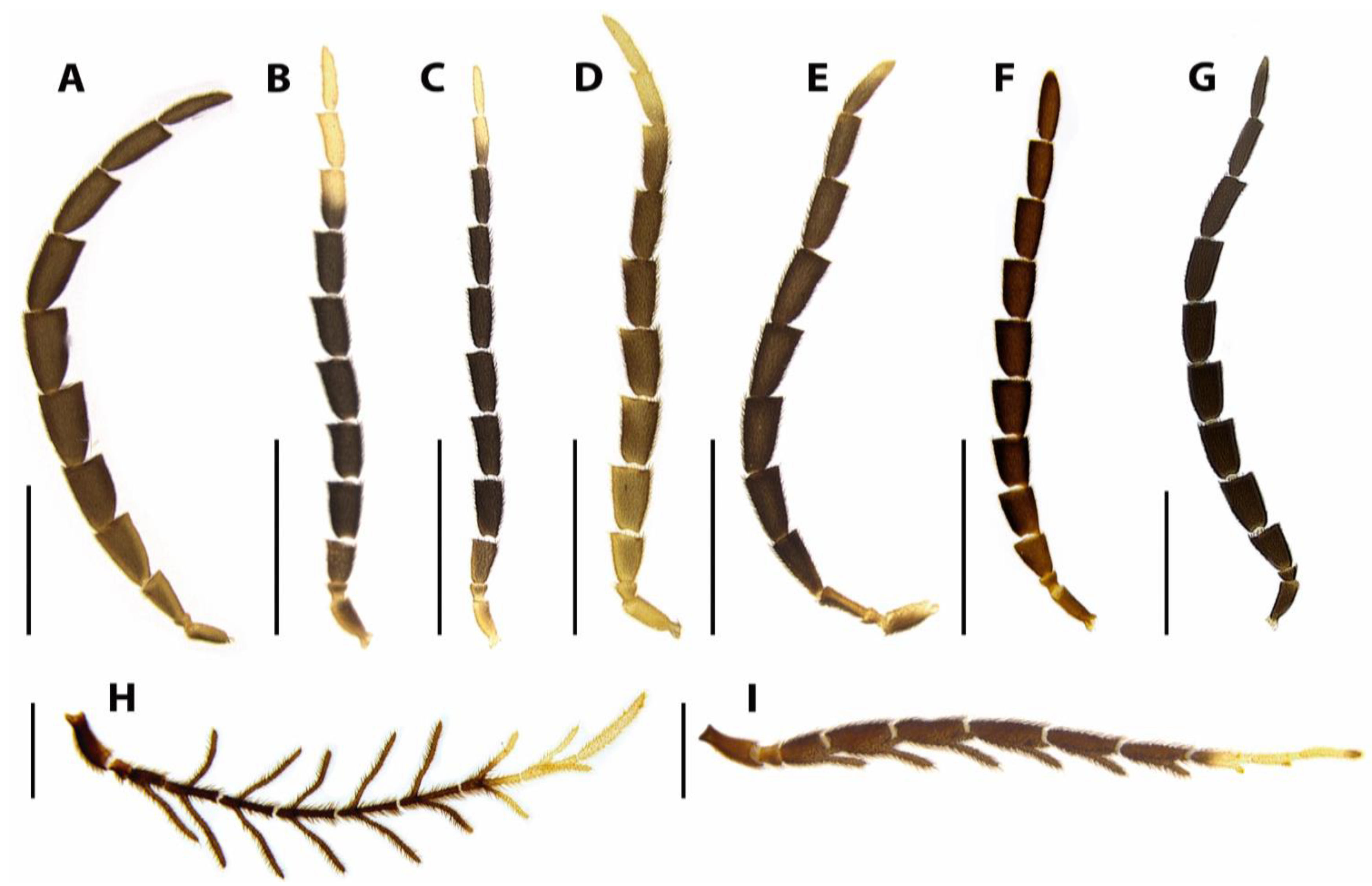 Diversity 15 00620 g006