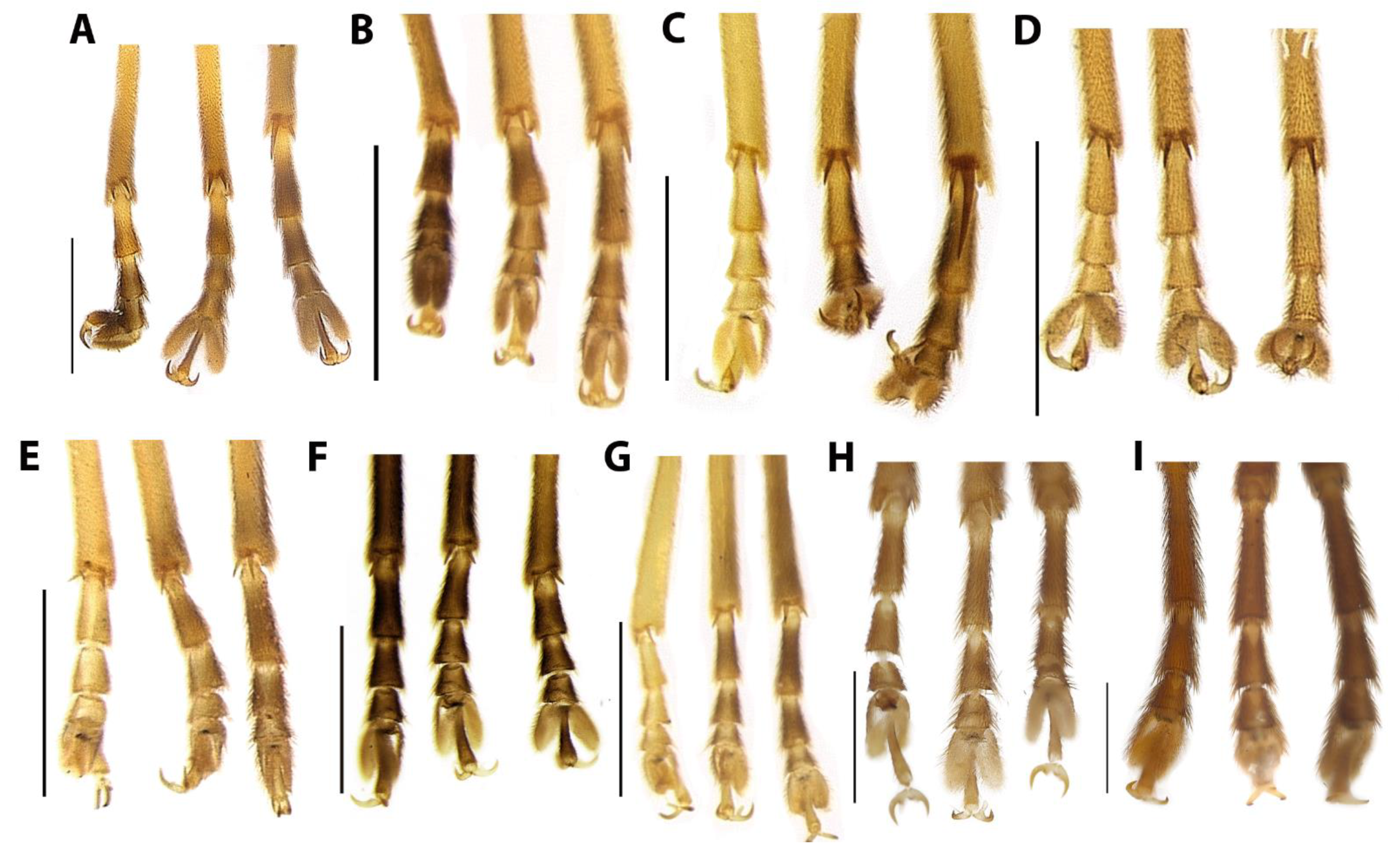 Diversity 15 00620 g008