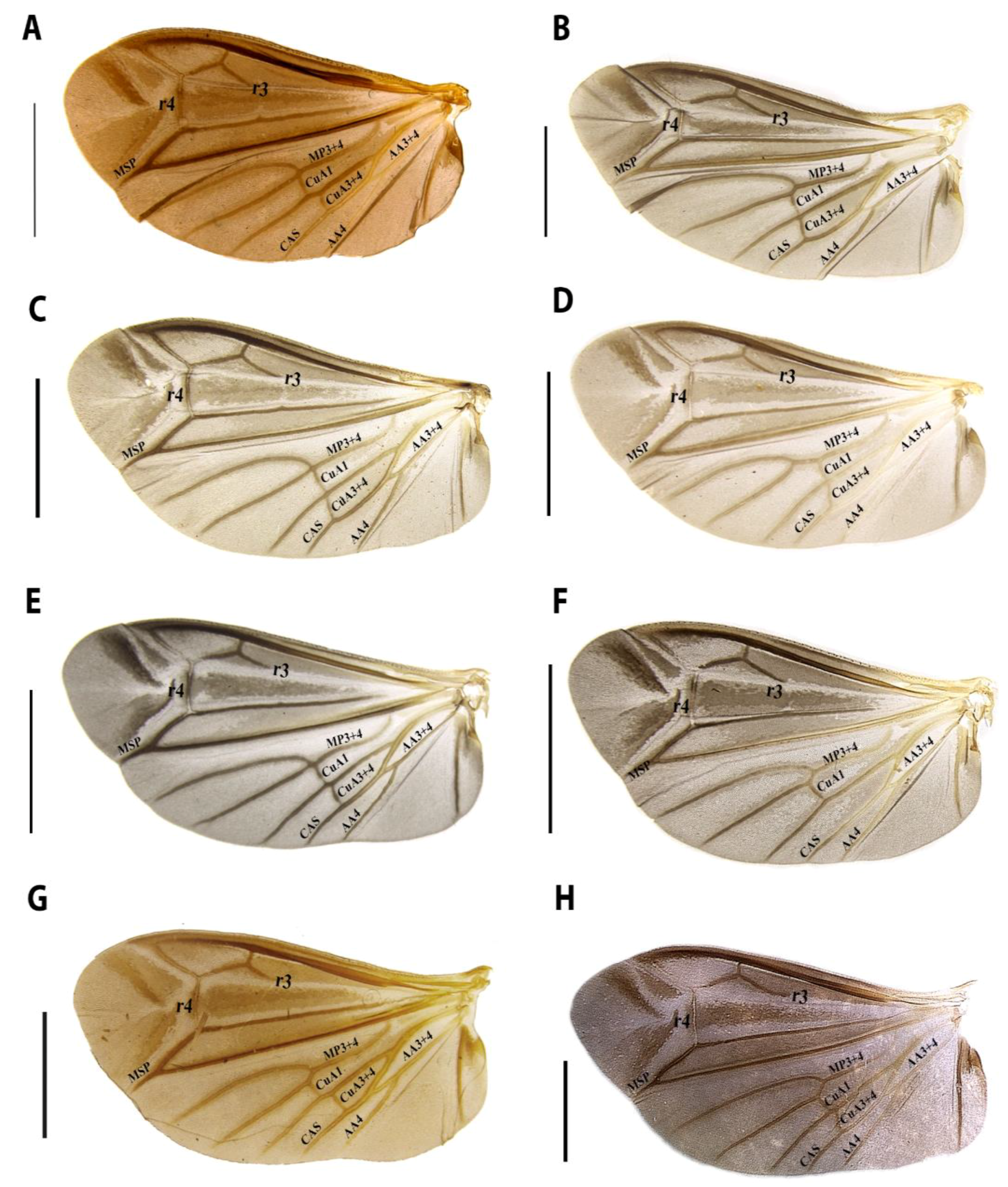 Diversity 15 00620 g009