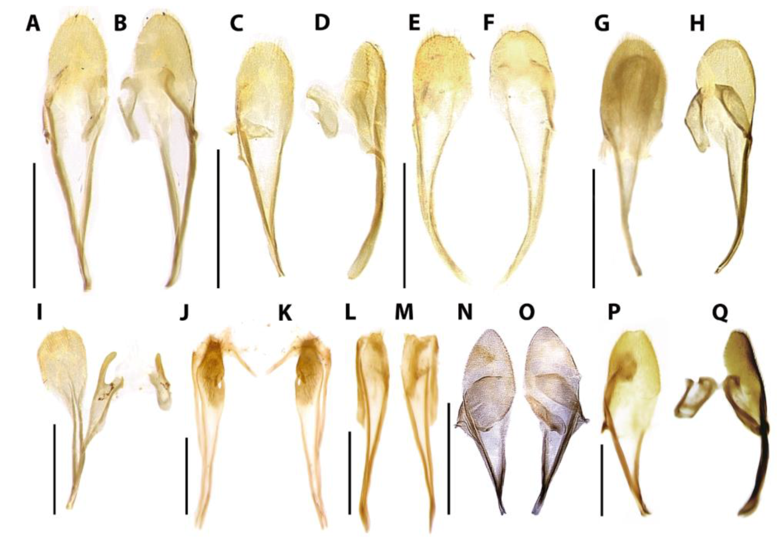 Diversity 15 00620 g012