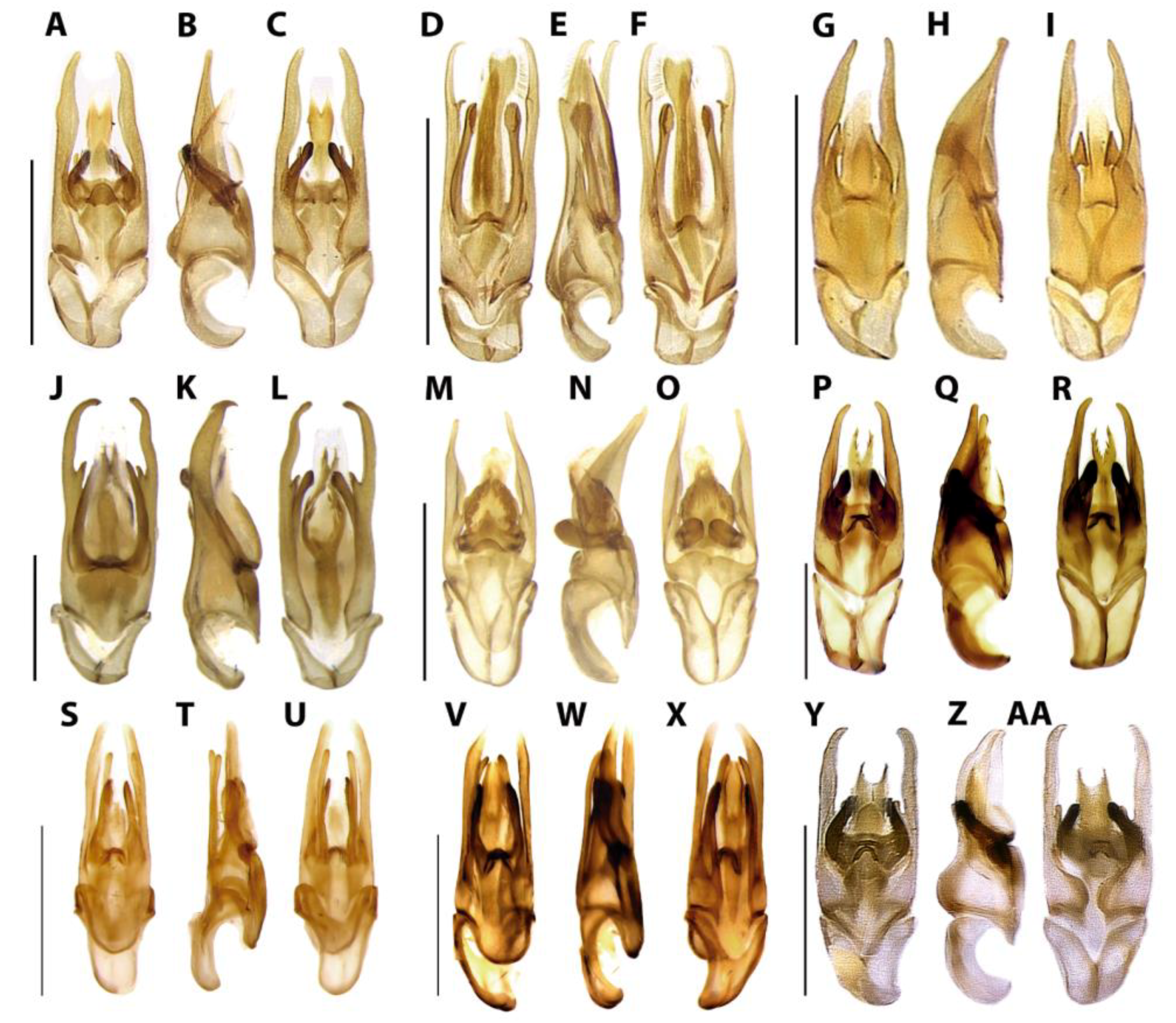 Diversity 15 00620 g013