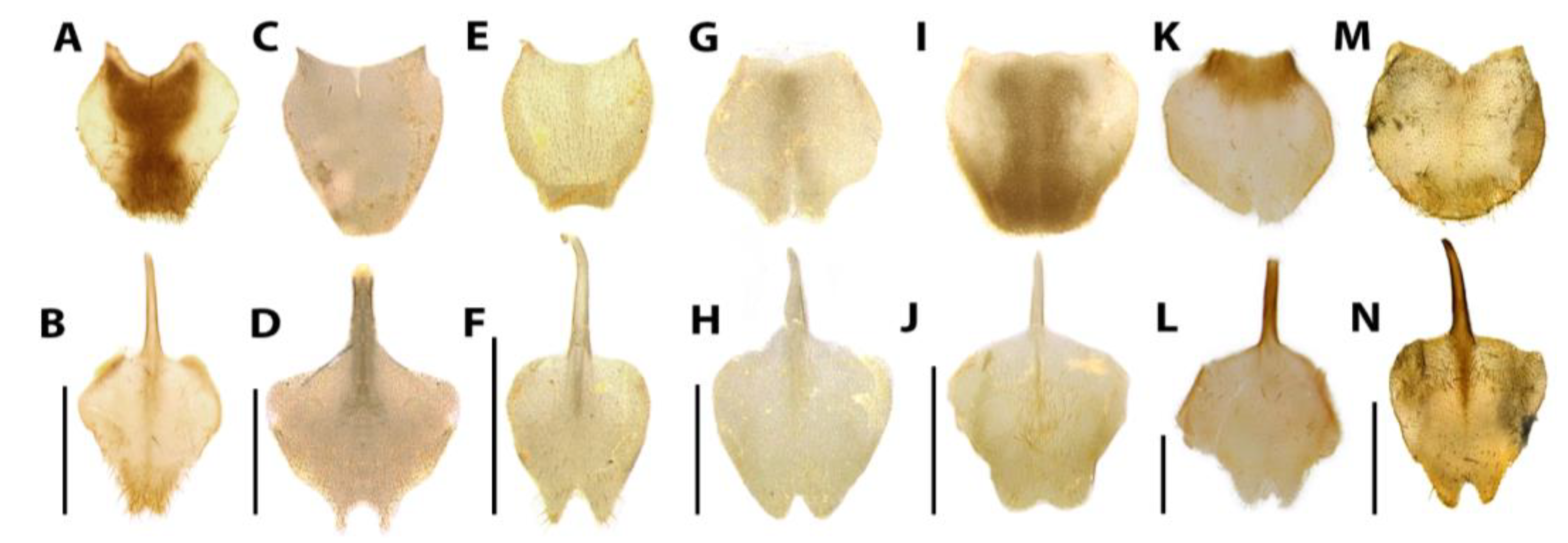 Diversity 15 00620 g015