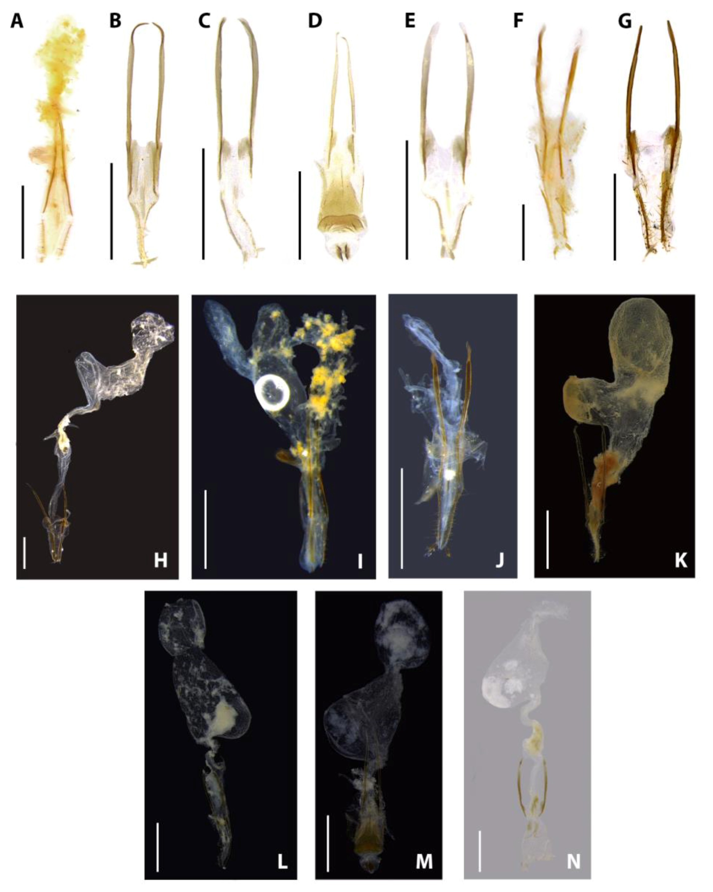 Diversity 15 00620 g016