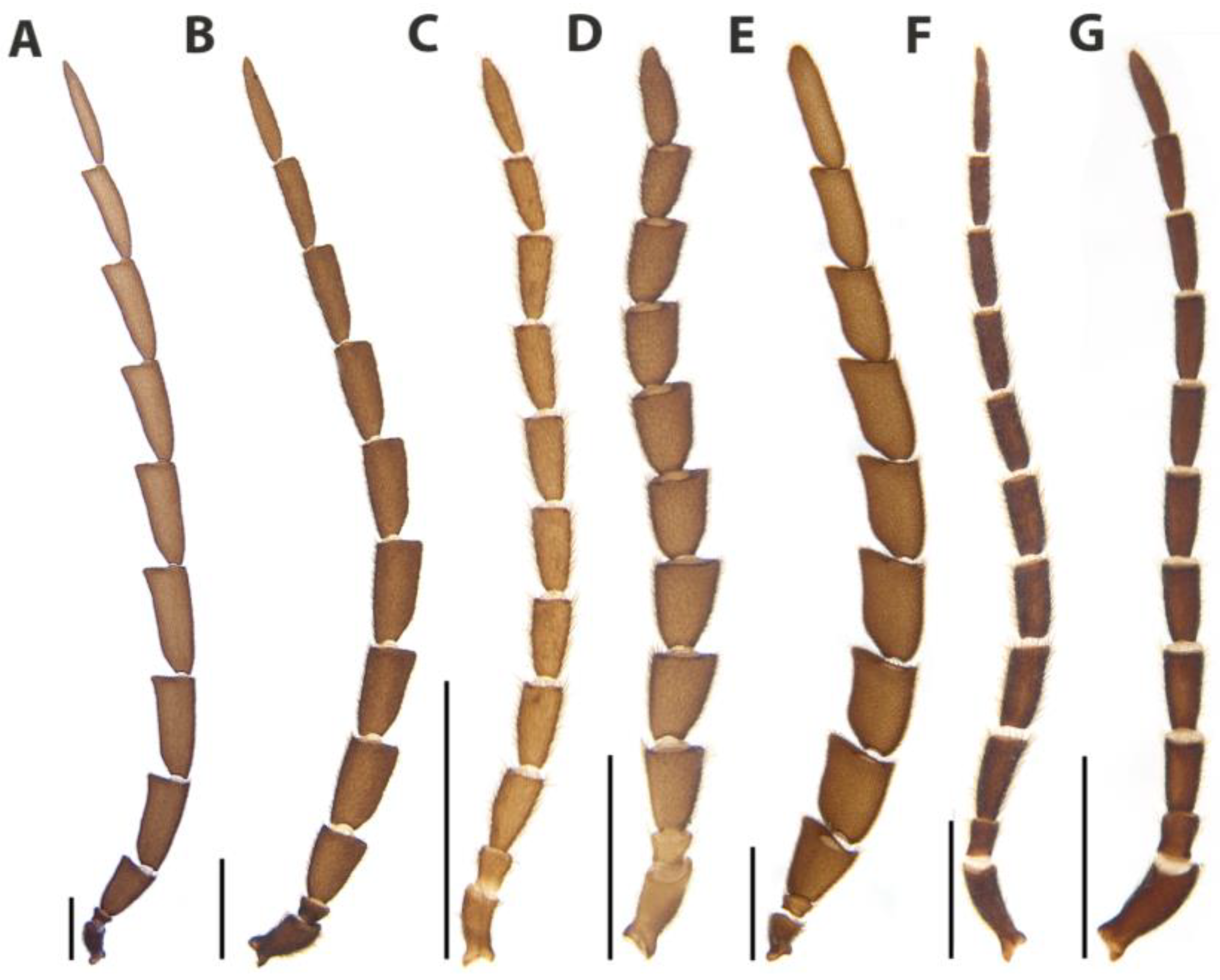 Diversity 15 00620 g019