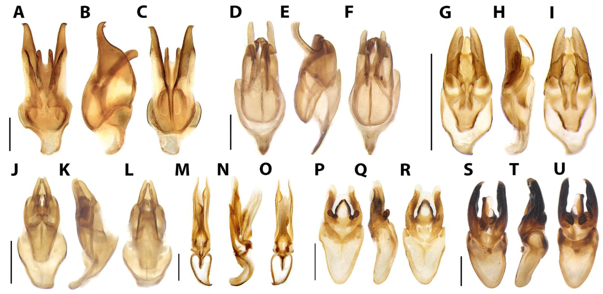 Diversity 15 00620 g025