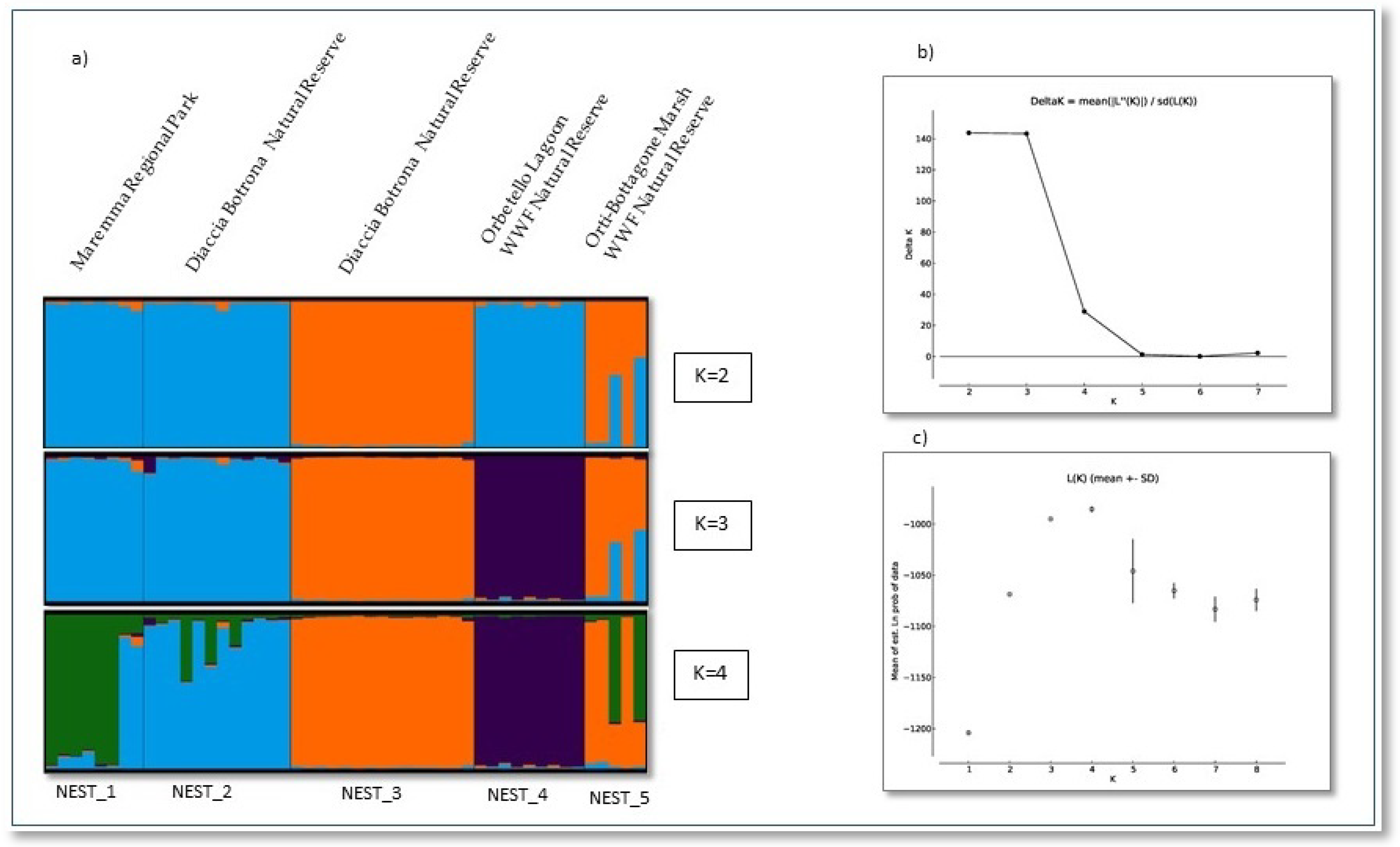 Diversity 15 00622 g003