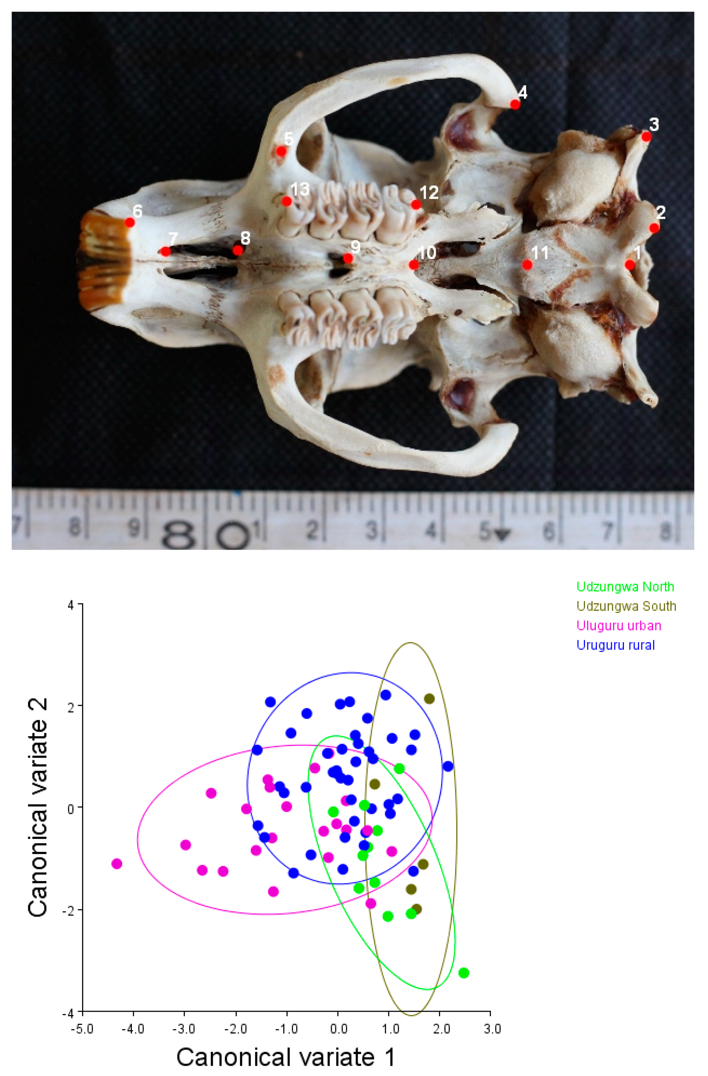 Diversity 15 00626 g002