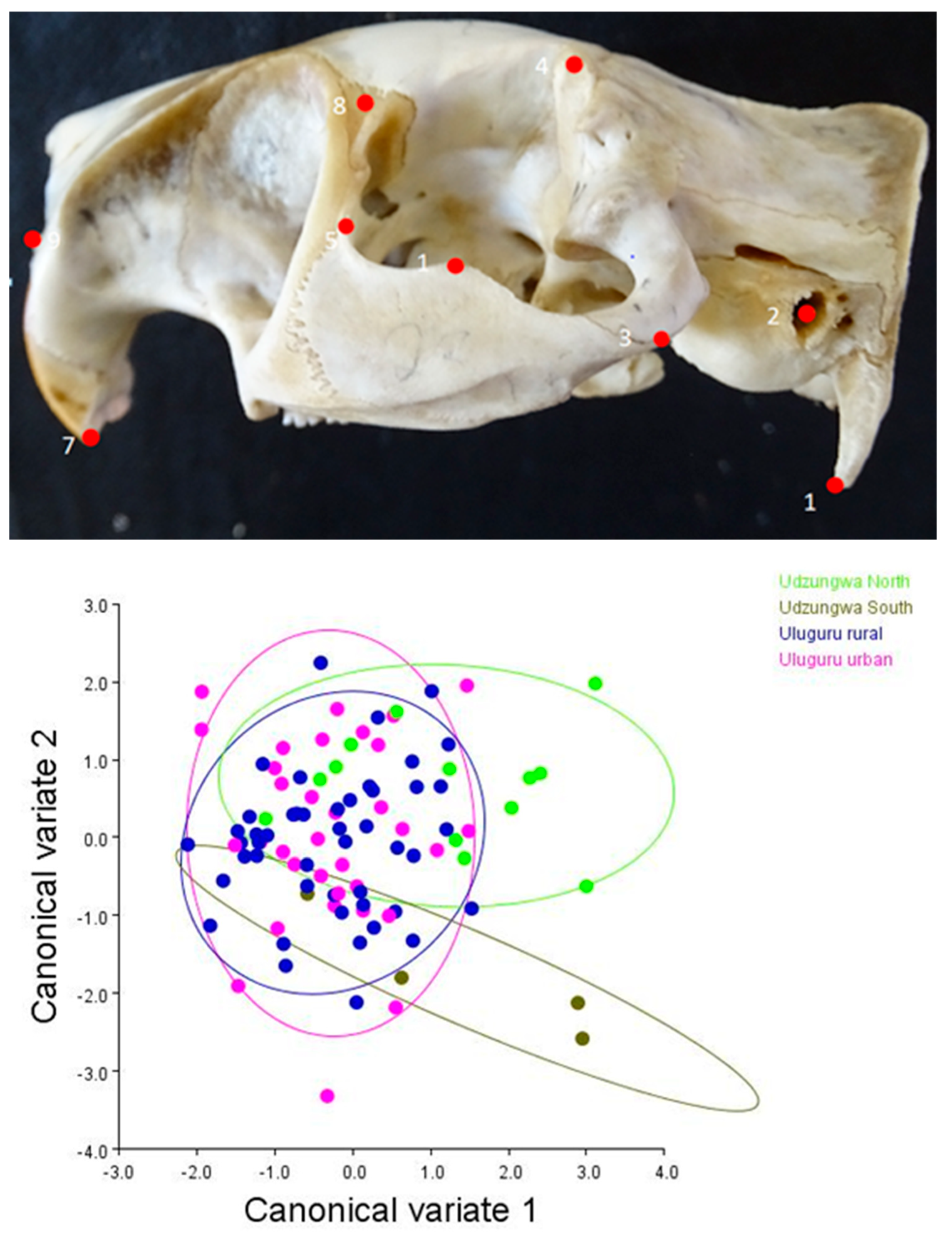 Diversity 15 00626 g003