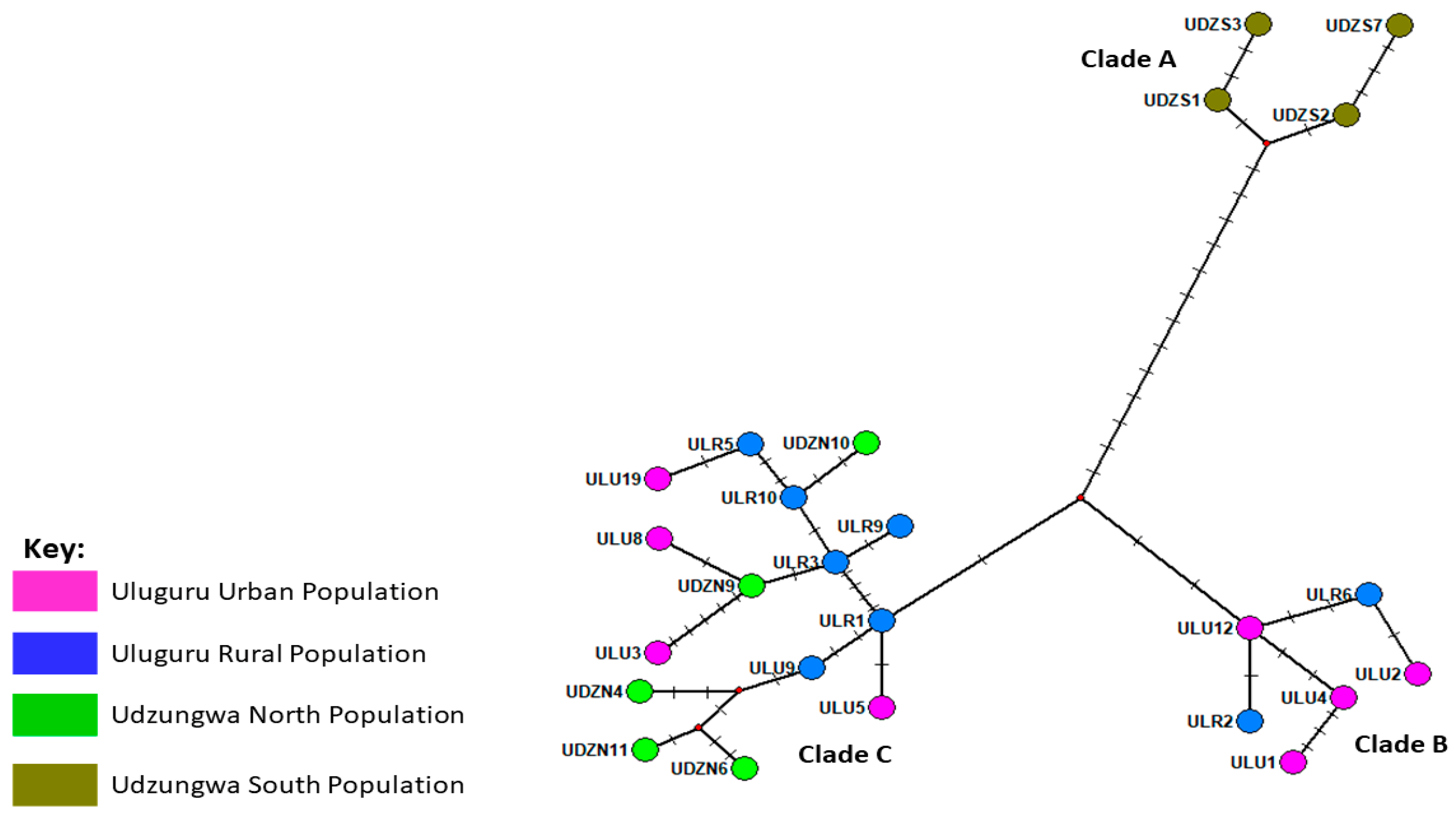 Diversity 15 00626 g006