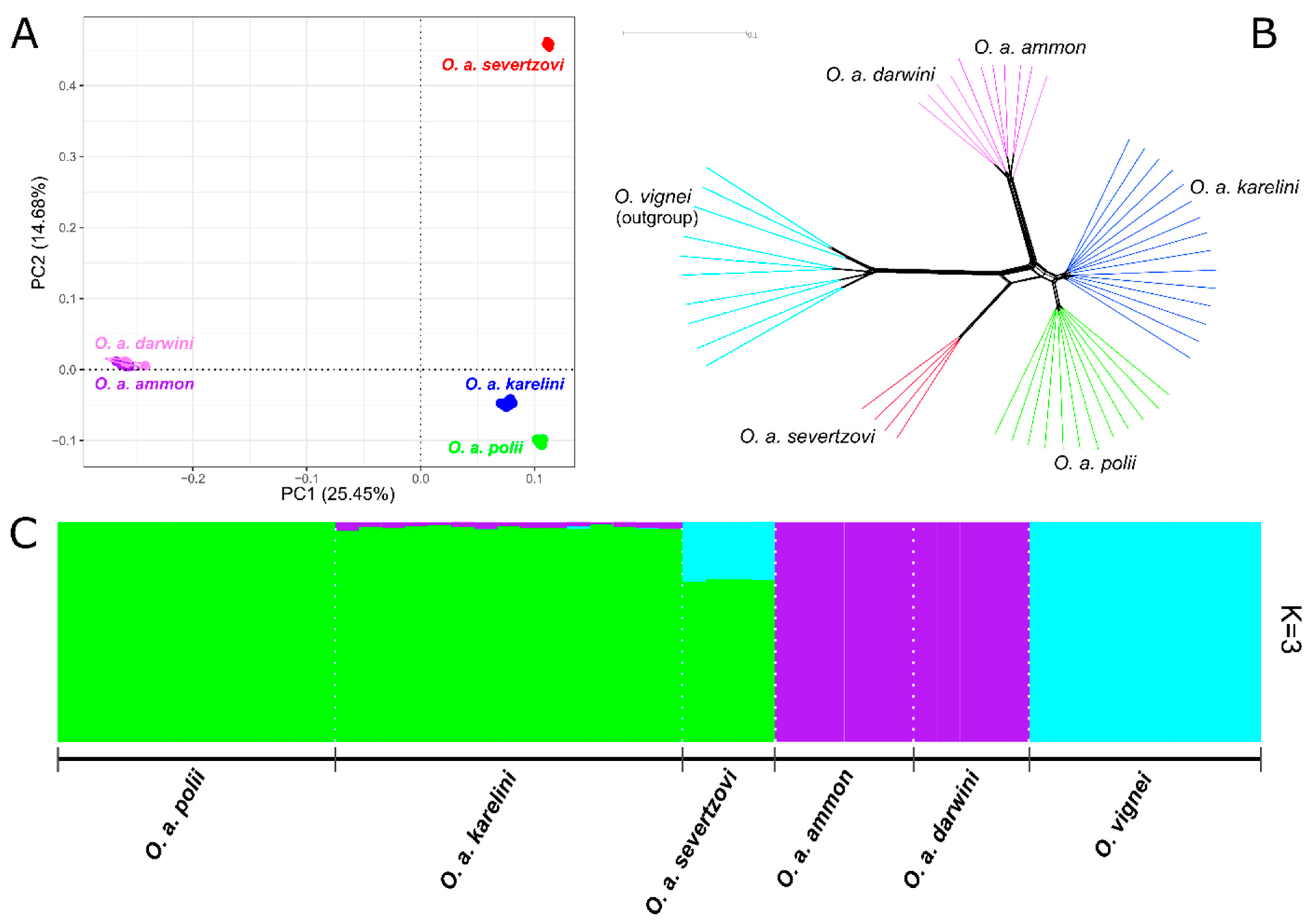 Diversity 15 00627 g002 Diversity 15 00627 g002