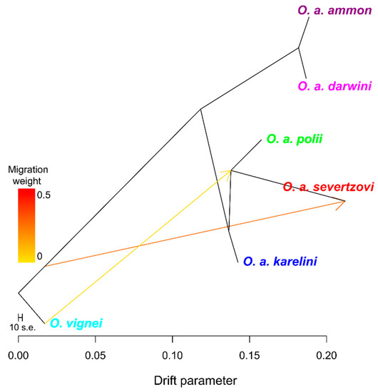 Genome-Wide Insights into Intraspecific Taxonomy and Genetic Diversity ...