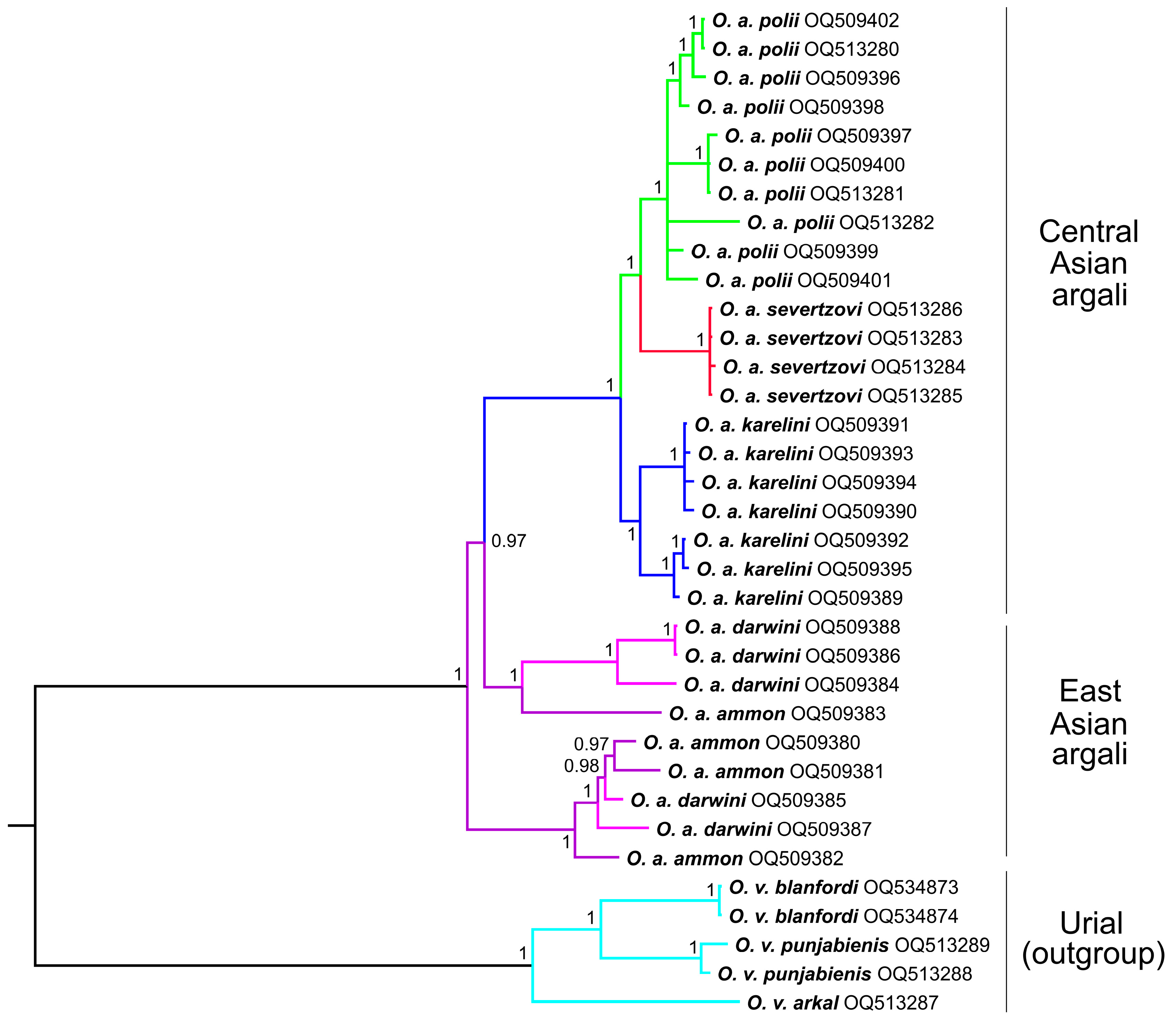 Diversity 15 00627 g005 Diversity 15 00627 g005