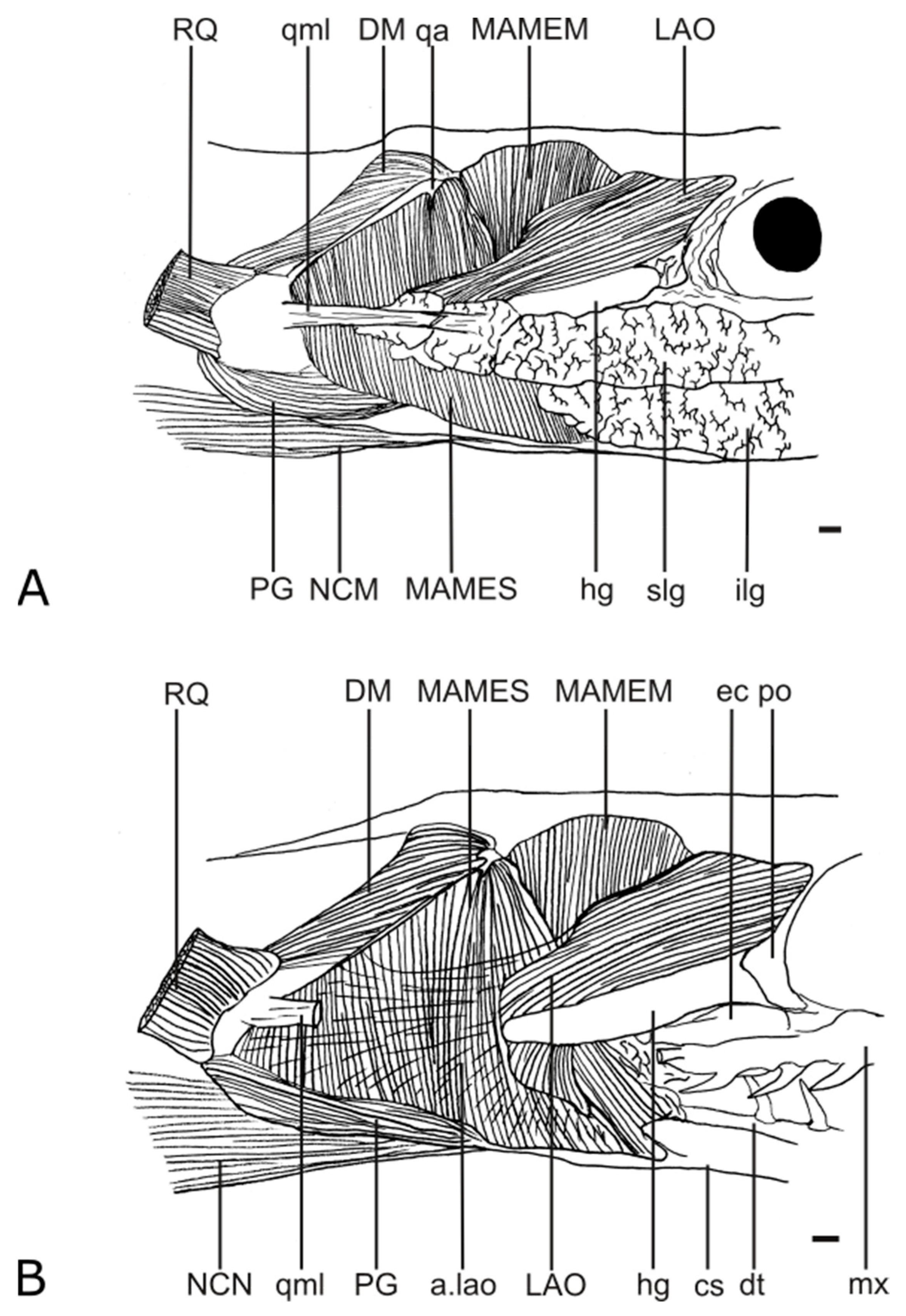 Diversity 15 00628 g002 Diversity 15 00628 g002