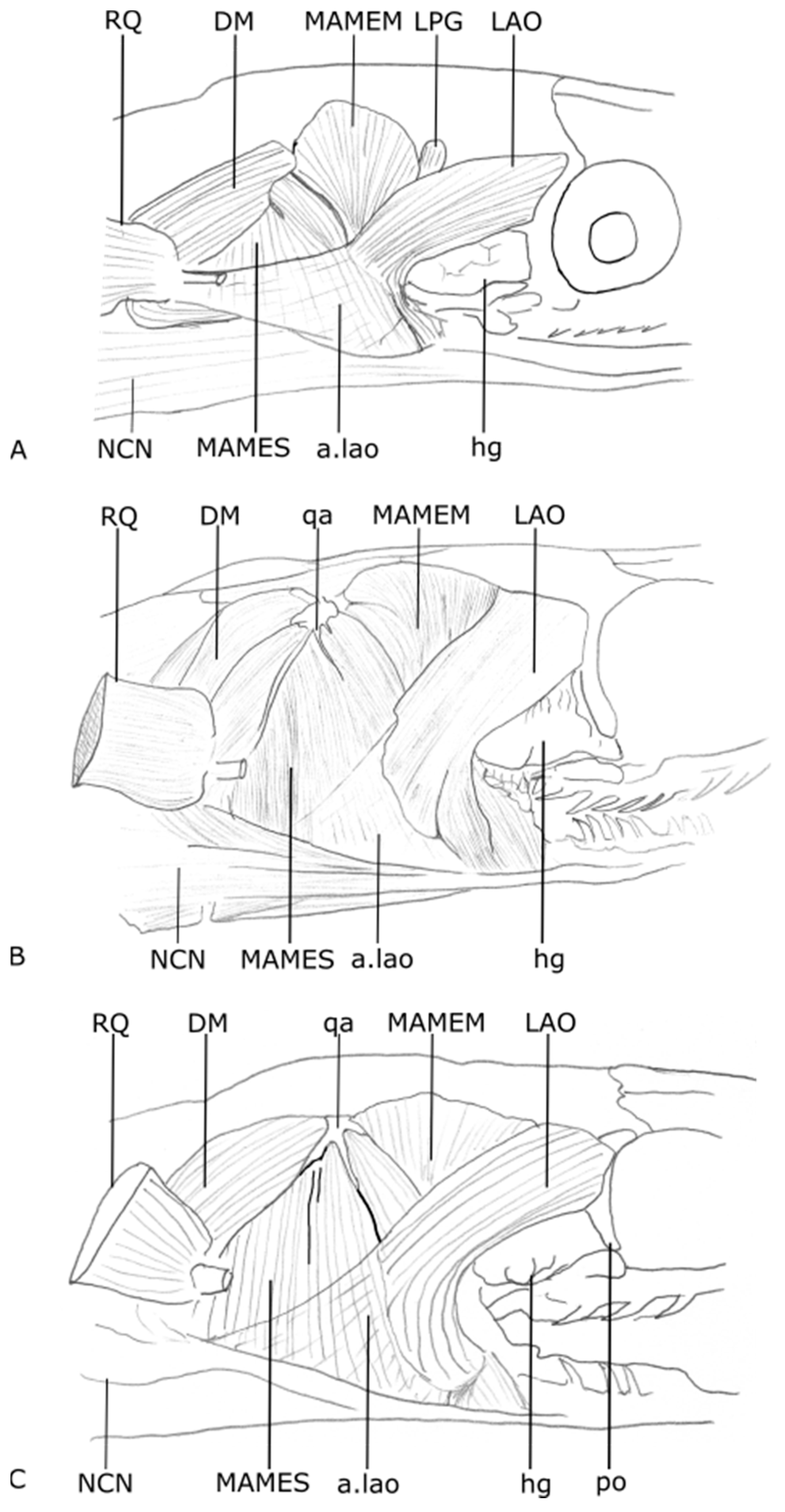 Diversity 15 00628 g003 Diversity 15 00628 g003