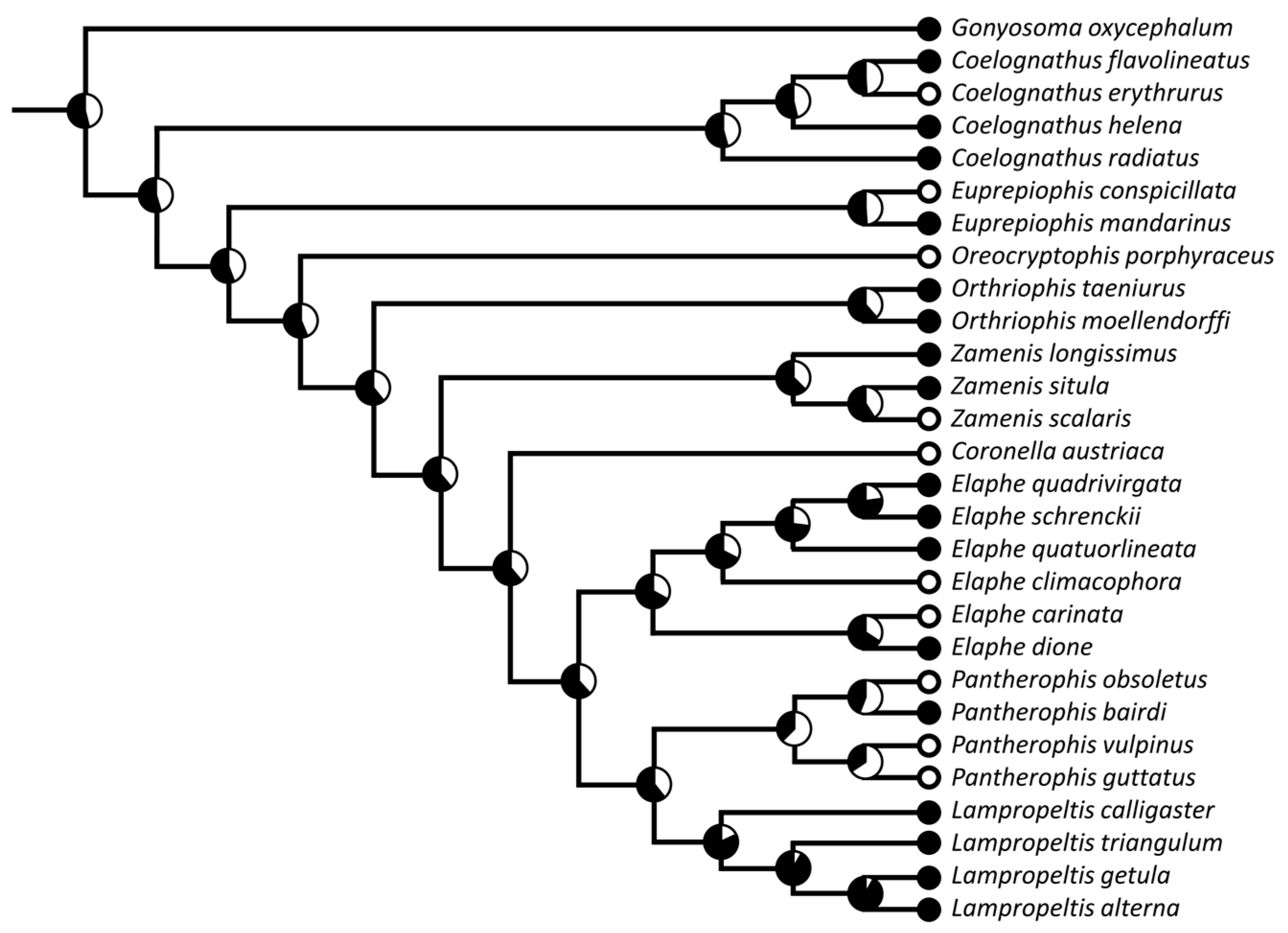Diversity 15 00628 g005 Diversity 15 00628 g005