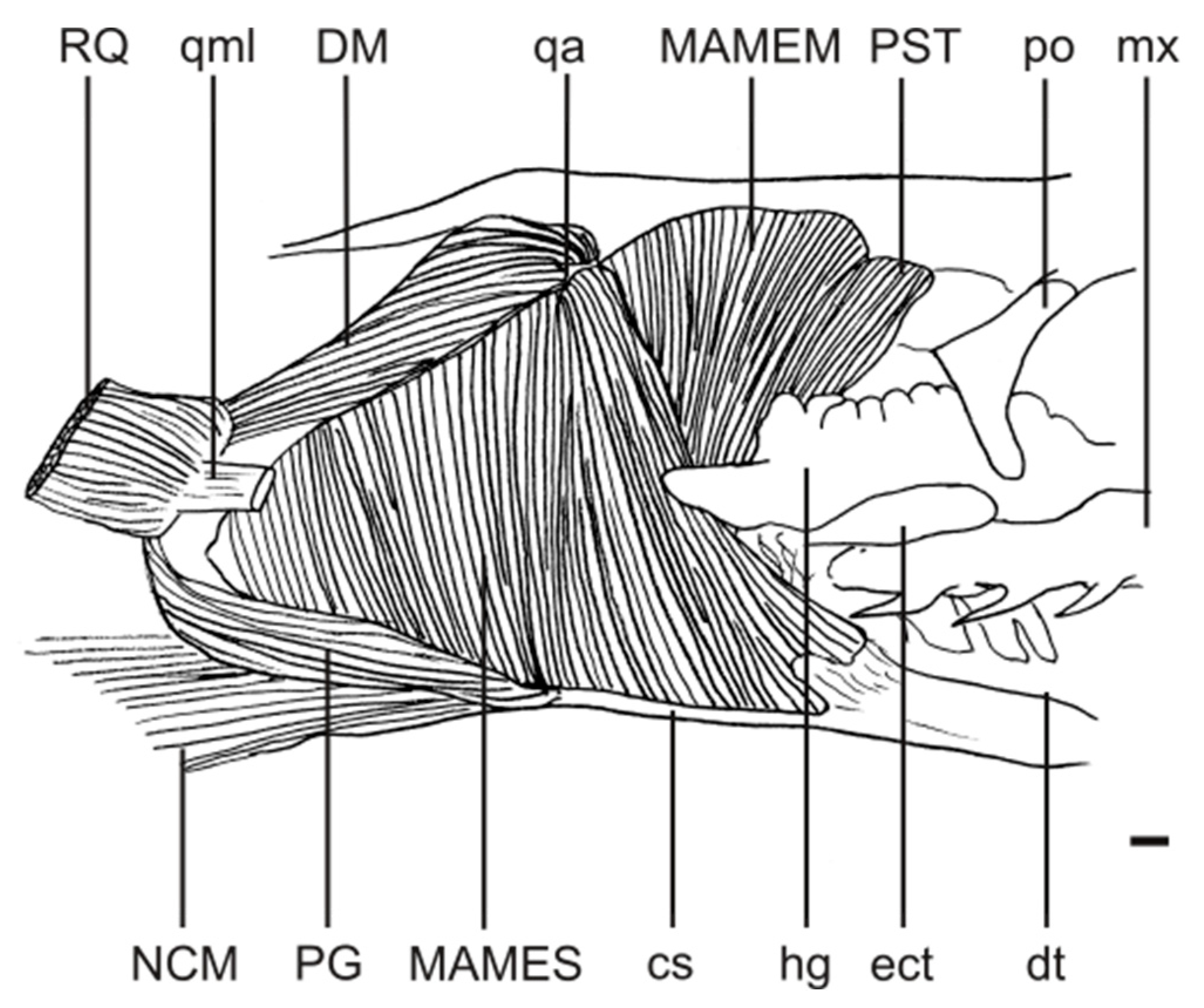 Diversity 15 00628 g007 Diversity 15 00628 g007