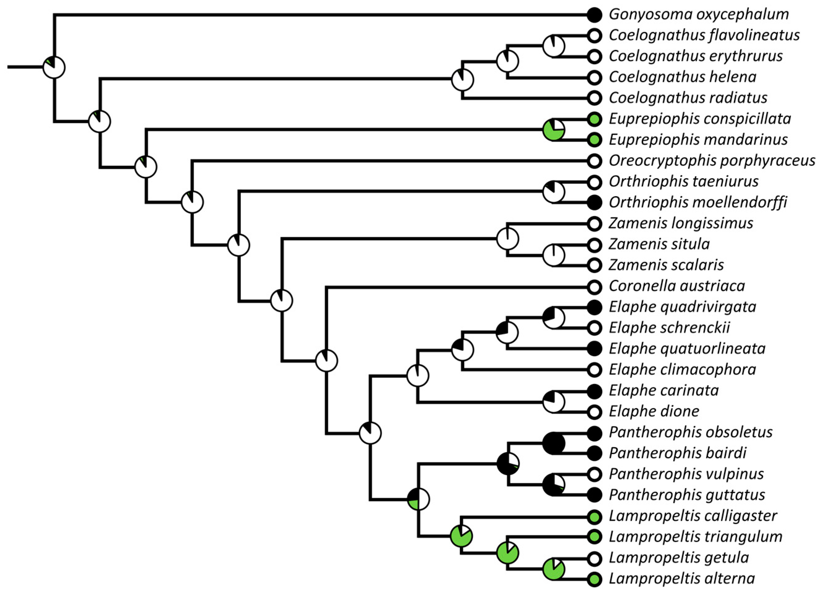 Diversity 15 00628 g008 Diversity 15 00628 g008