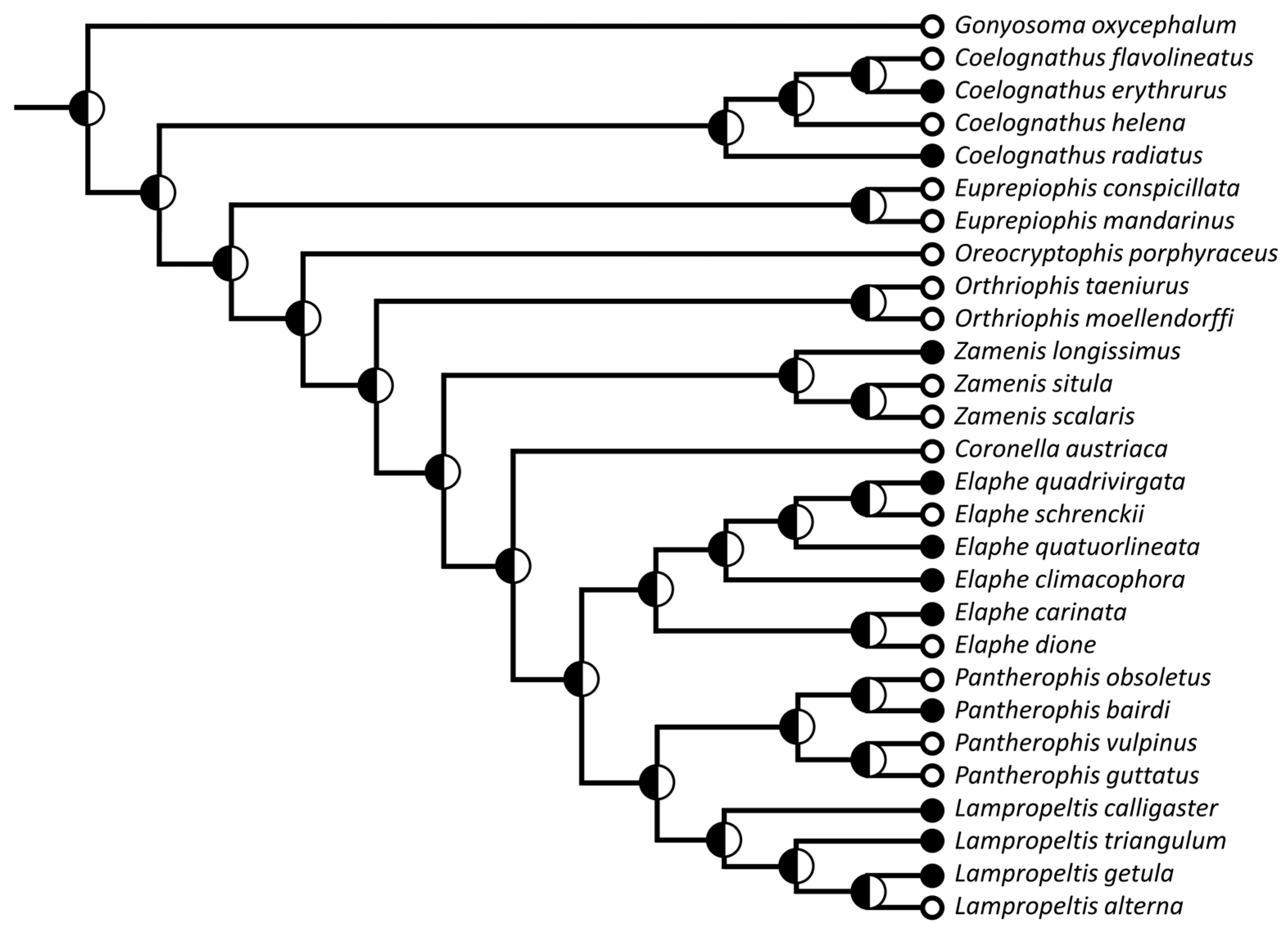 Diversity 15 00628 g012 Diversity 15 00628 g012