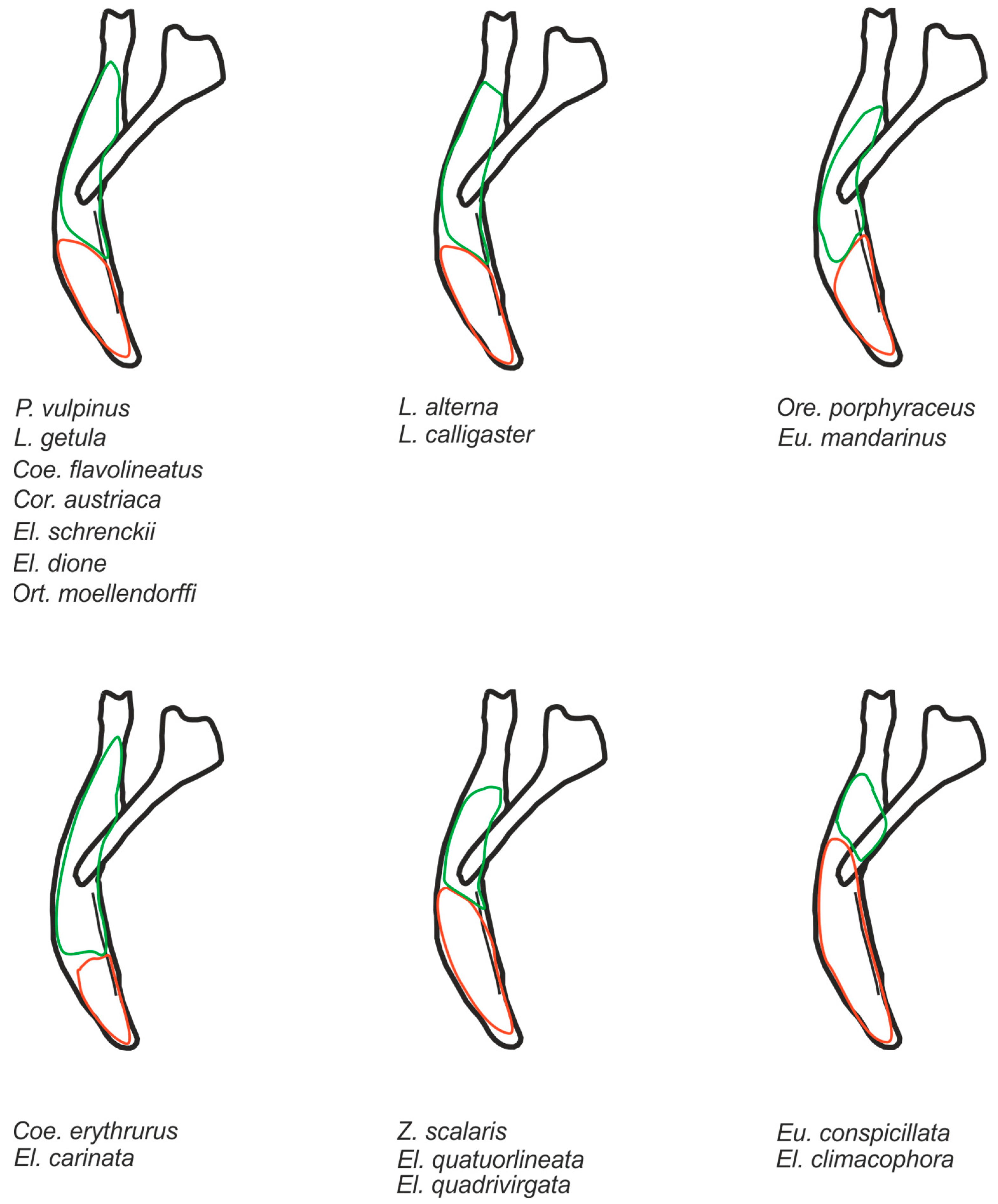 Diversity 15 00628 g015 Diversity 15 00628 g015