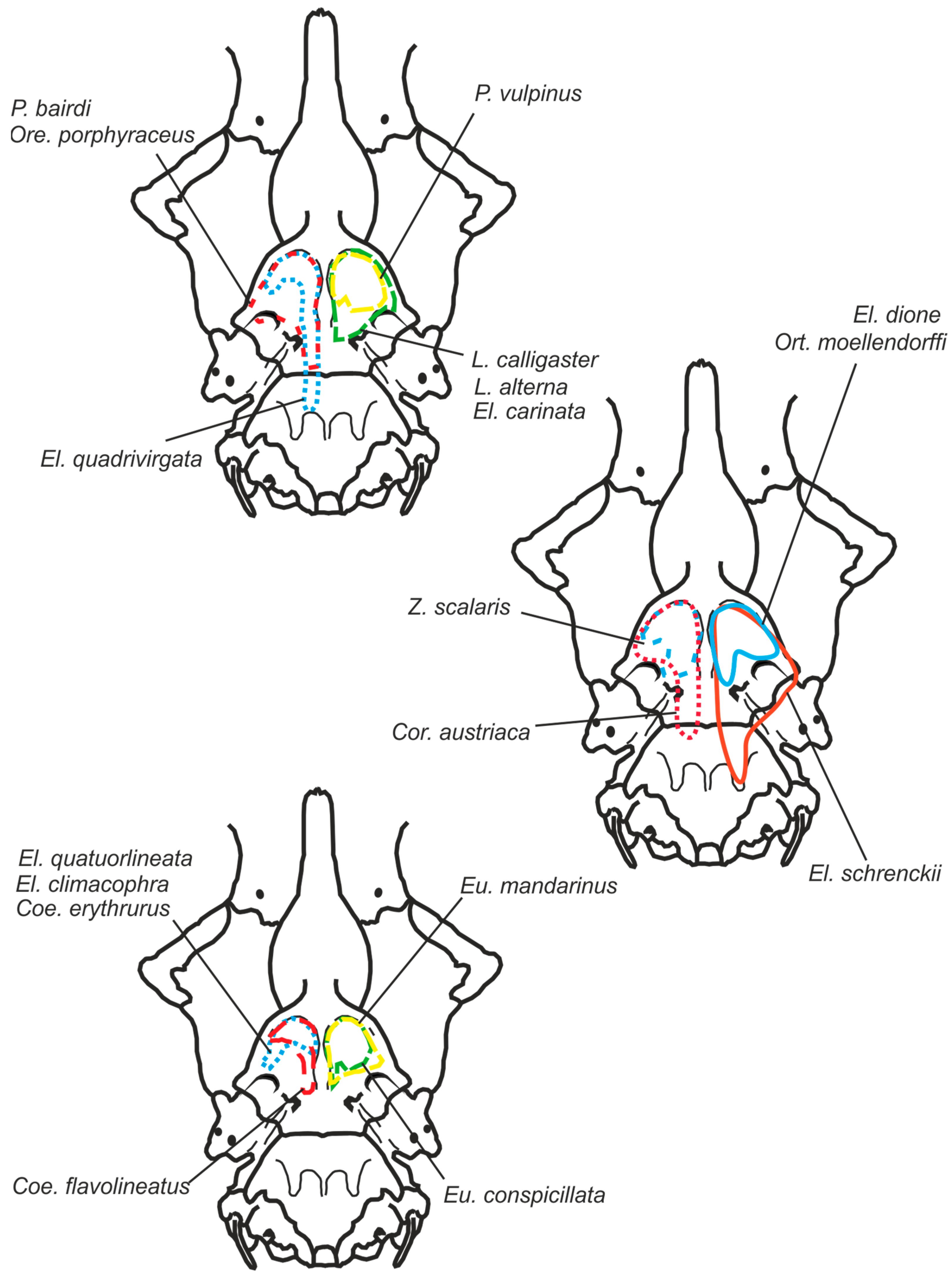 Diversity 15 00628 g016 Diversity 15 00628 g016