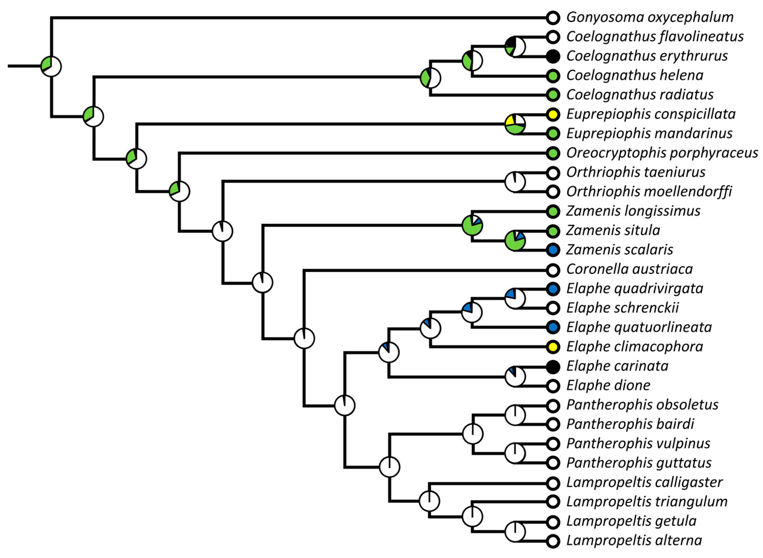 Diversity 15 00628 g017 Diversity 15 00628 g017