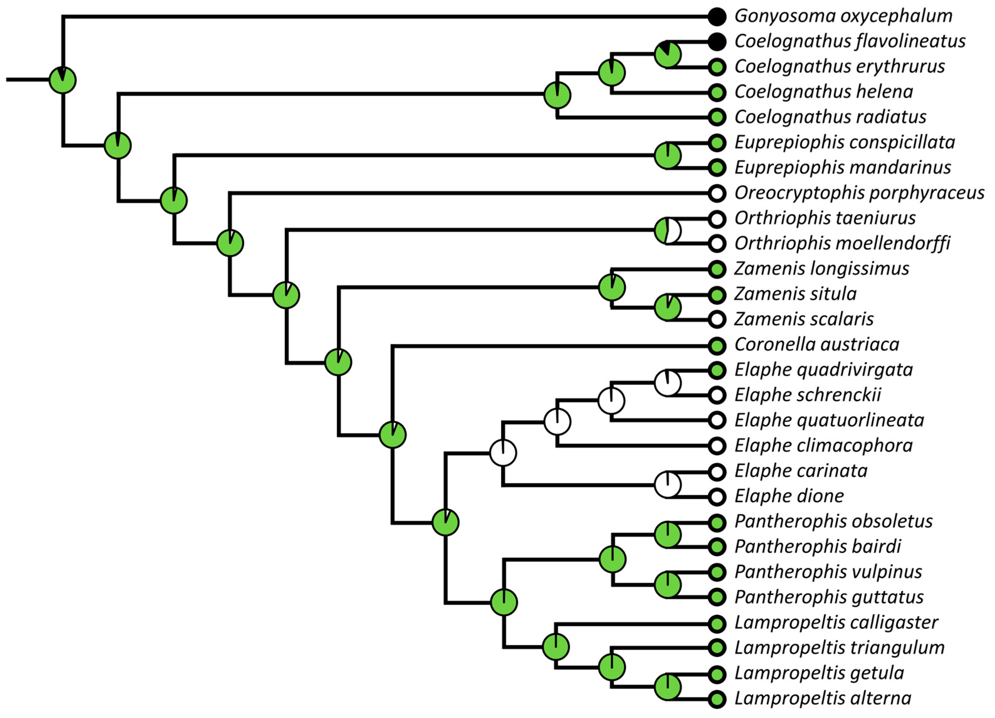 Diversity 15 00628 g020 Diversity 15 00628 g020