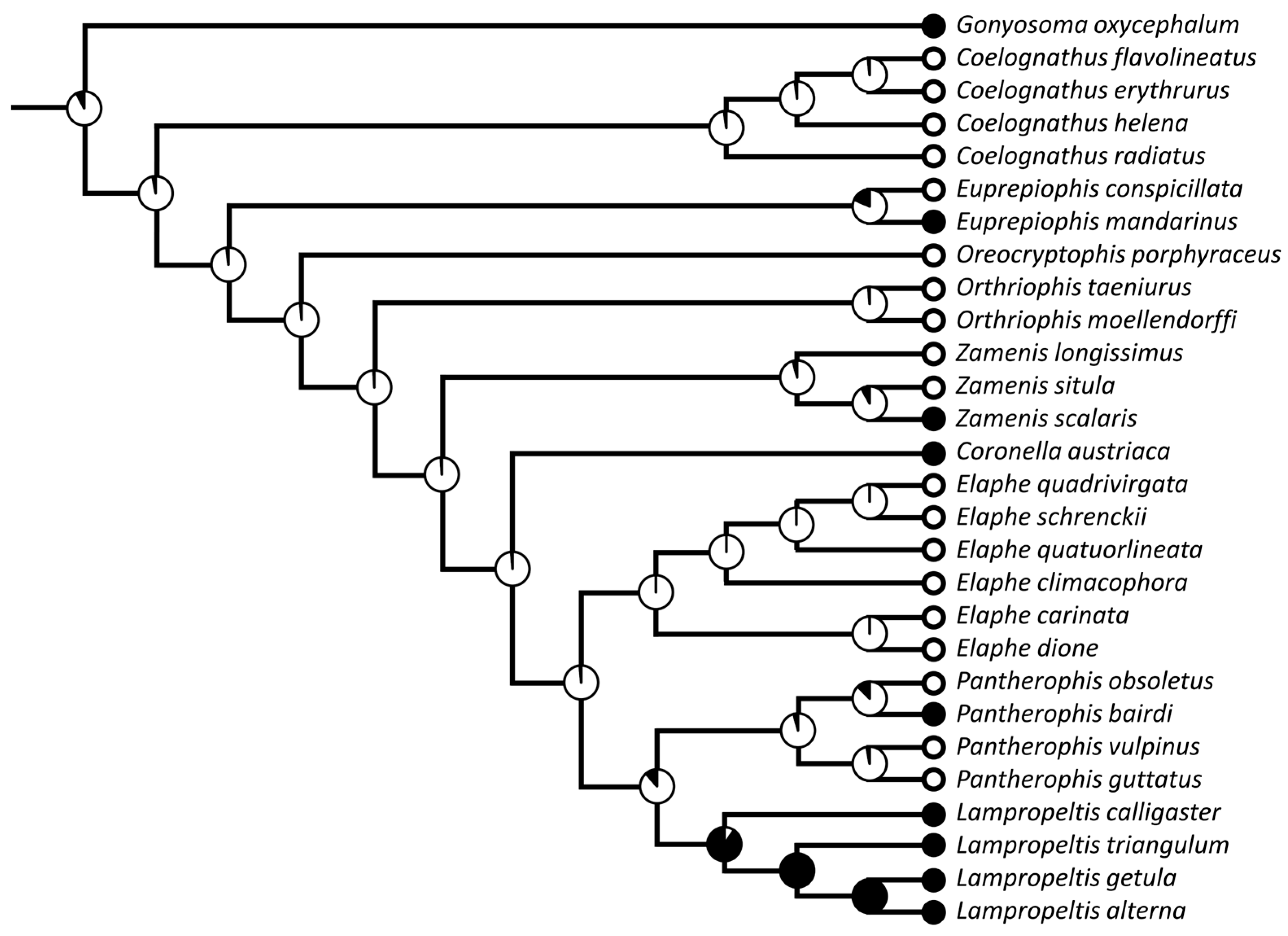 Diversity 15 00628 g021 Diversity 15 00628 g021