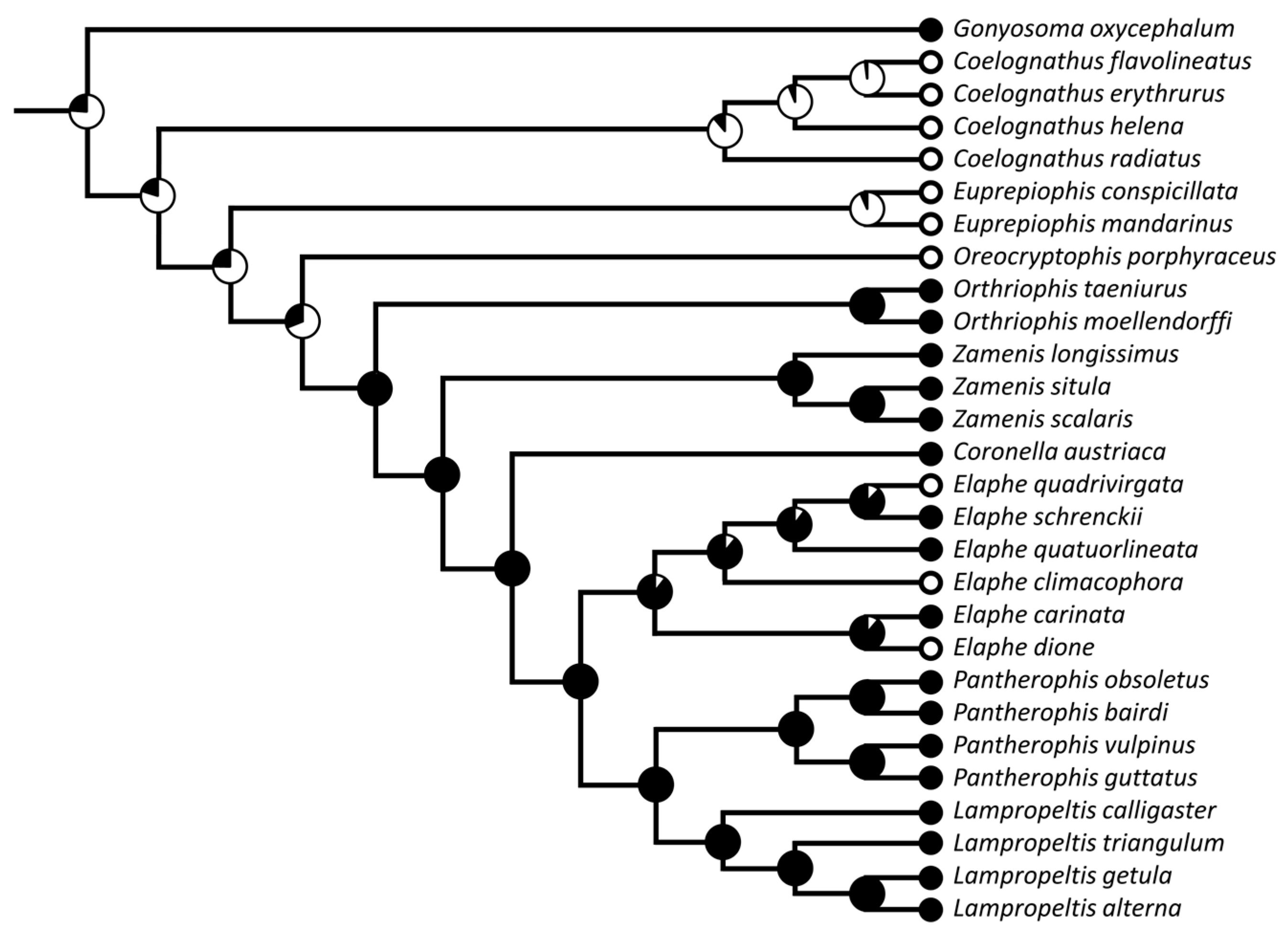 Diversity 15 00628 g023 Diversity 15 00628 g023