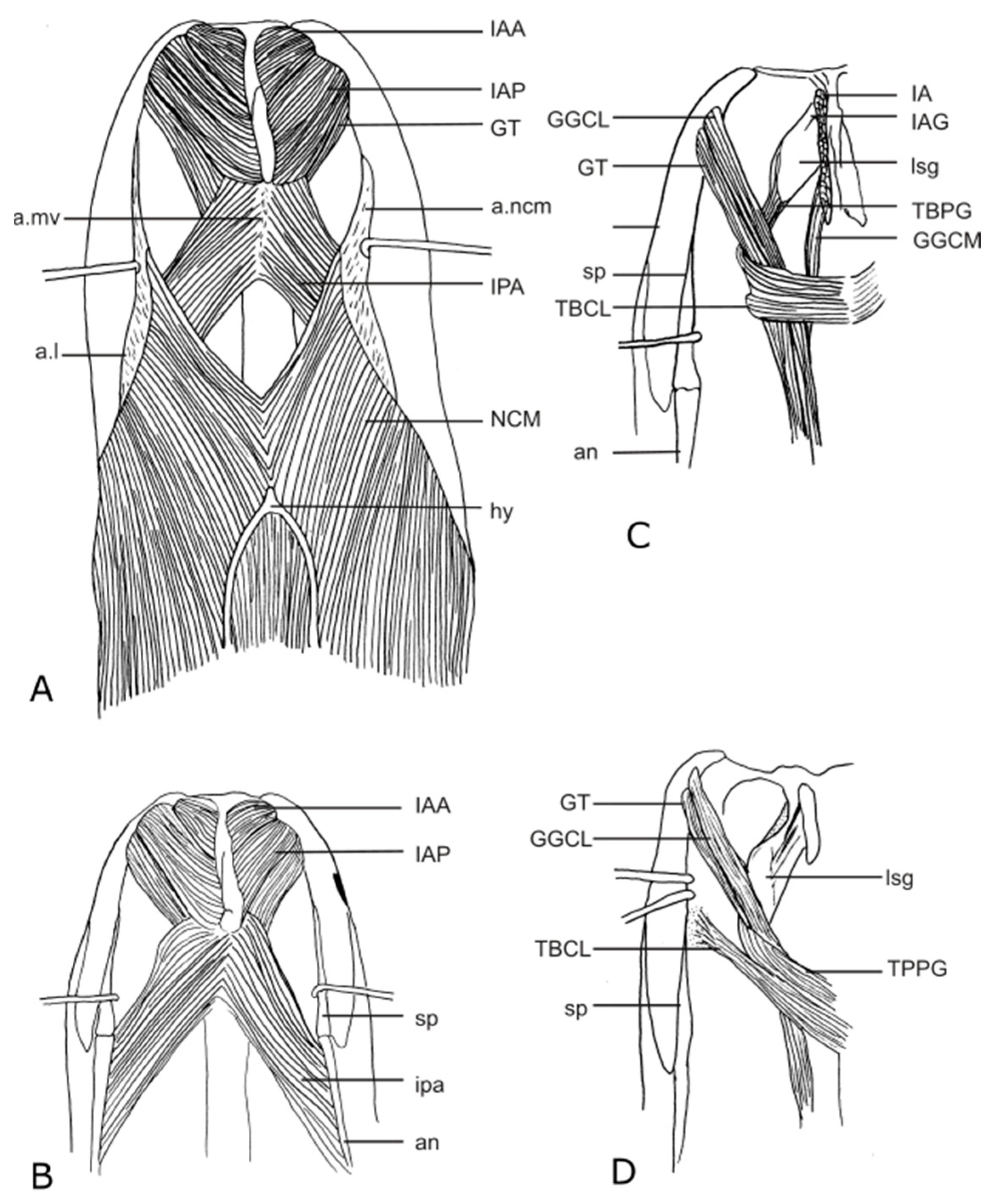 Diversity 15 00628 g024 Diversity 15 00628 g024