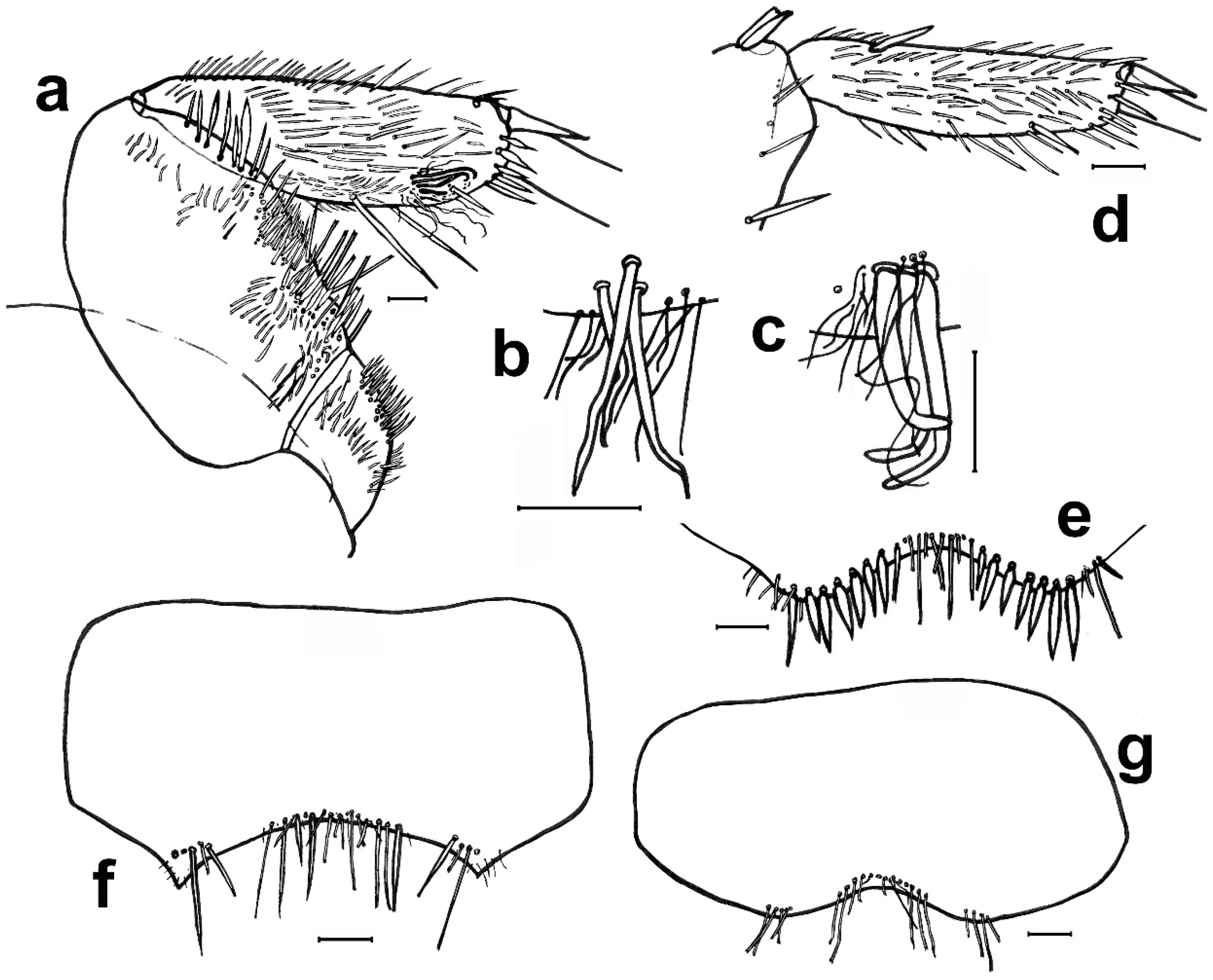 Diversity 15 00635 g004 Diversity 15 00635 g004