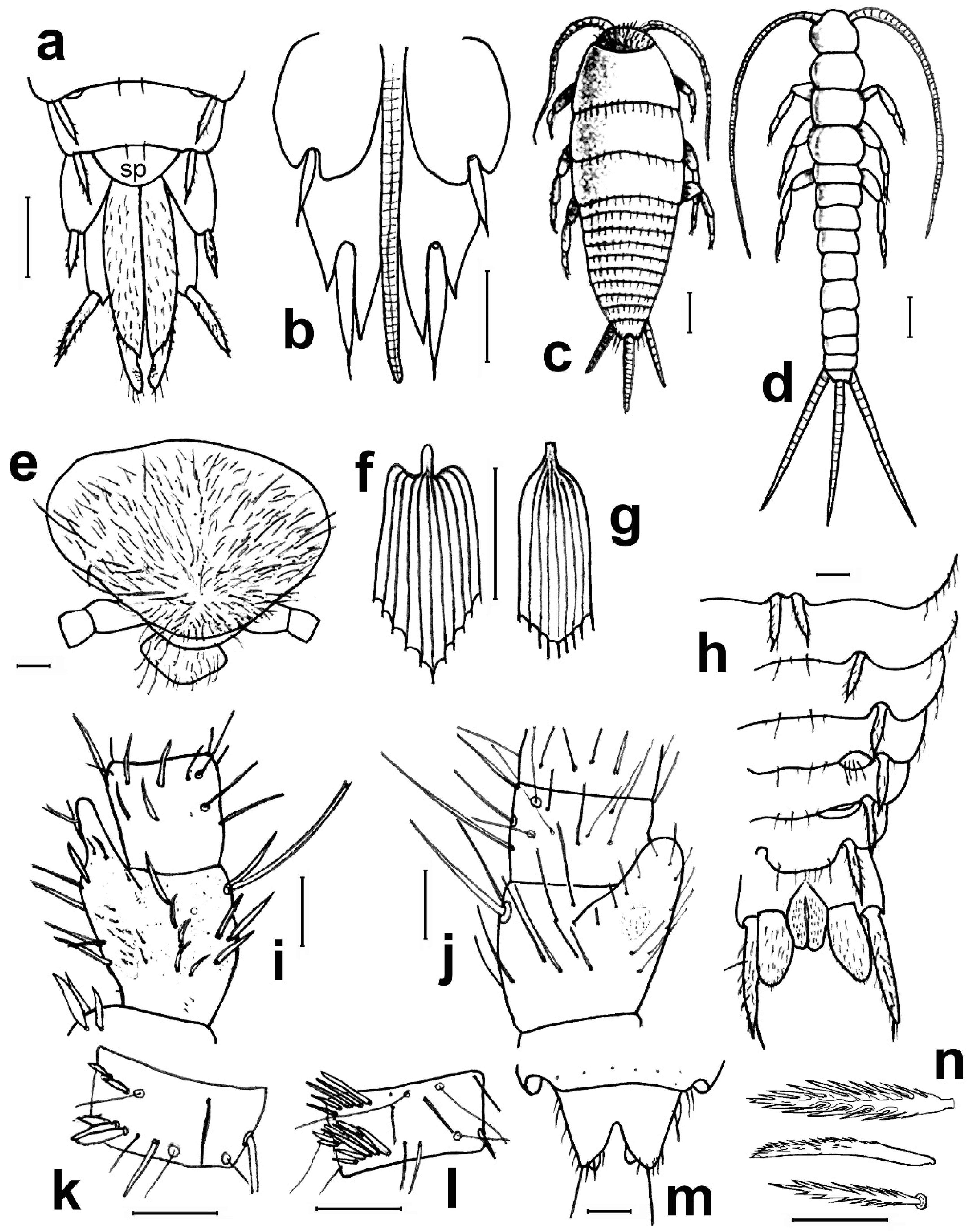 Diversity 15 00635 g011 Diversity 15 00635 g011