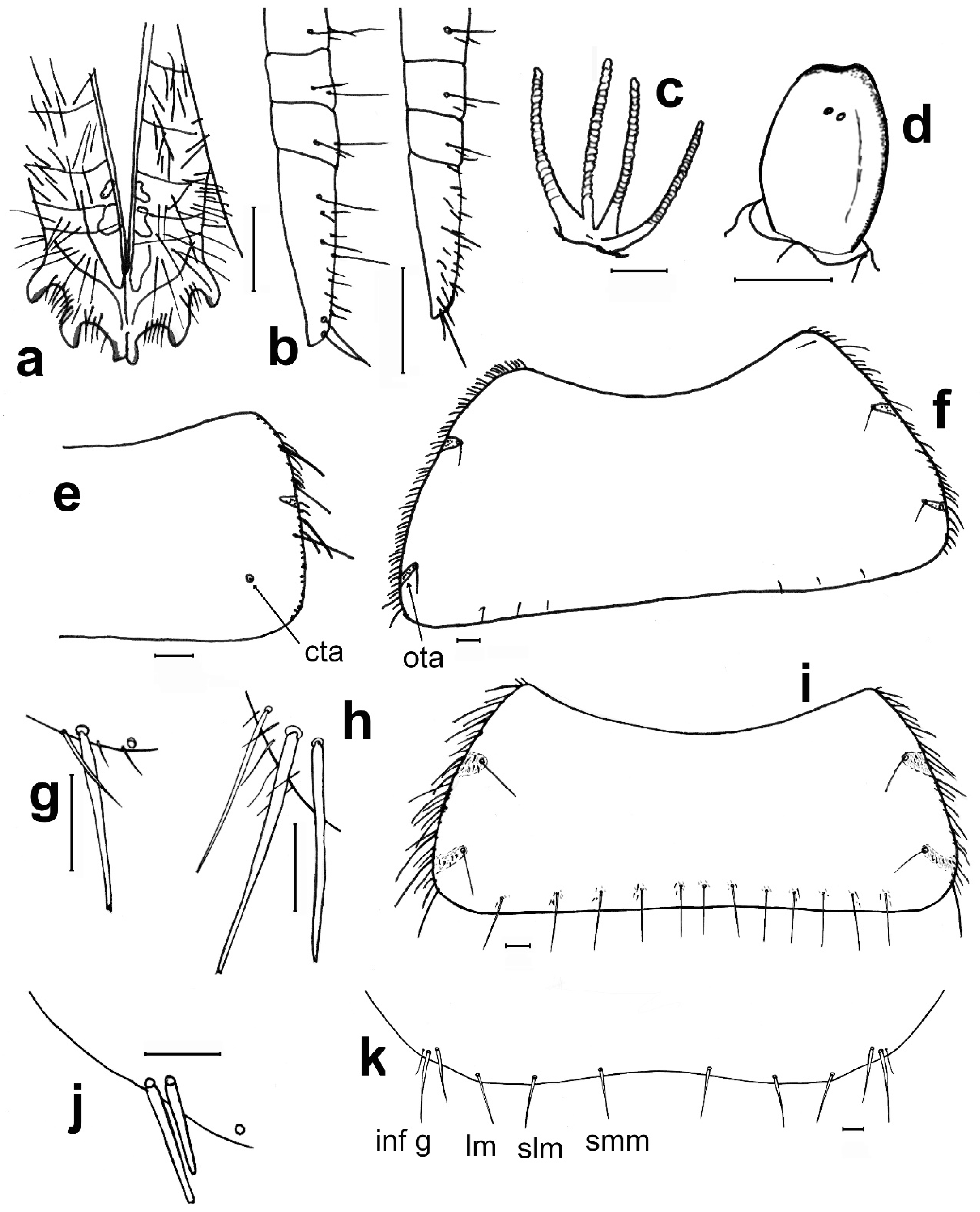 Diversity 15 00635 g012 Diversity 15 00635 g012