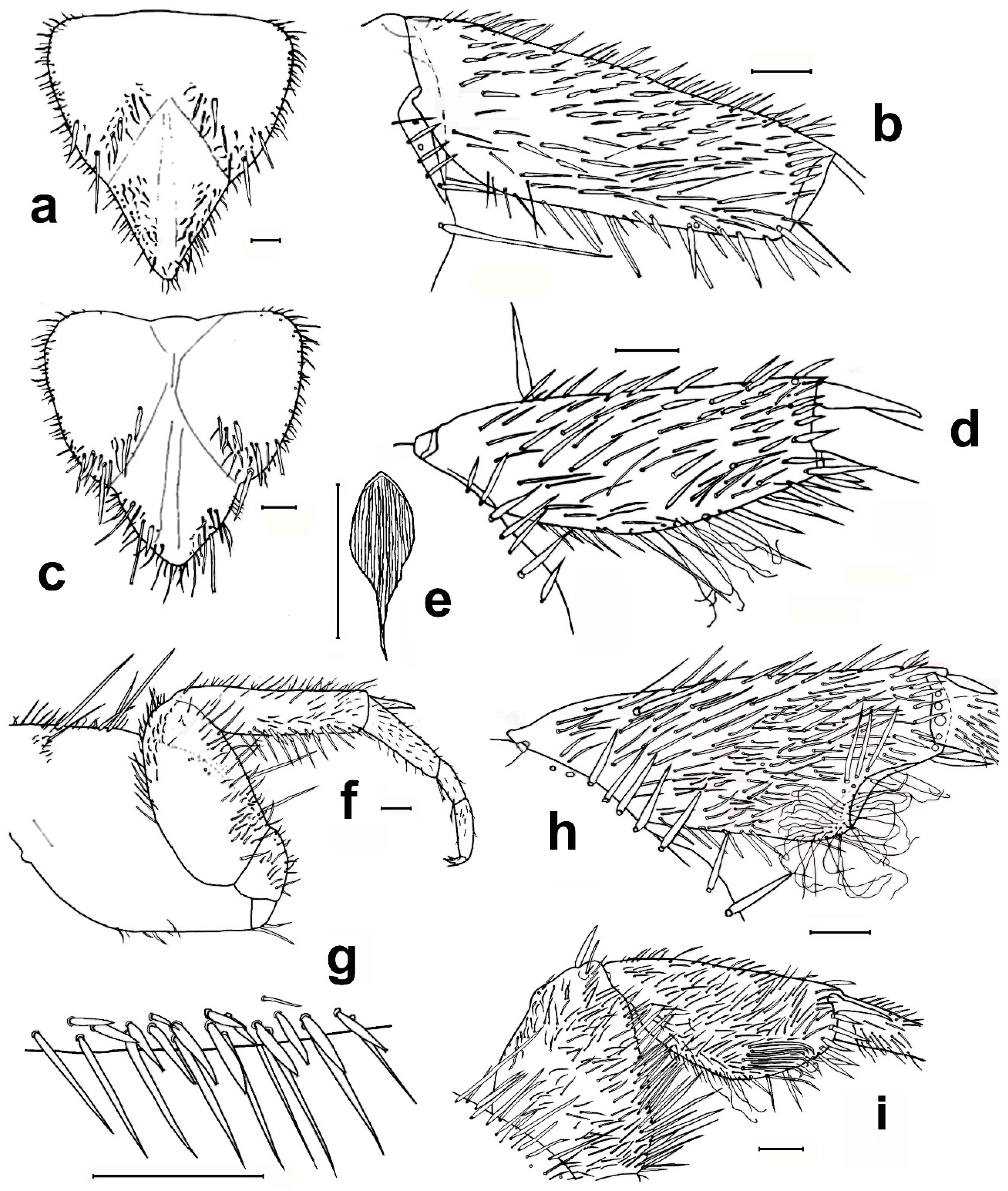 Diversity 15 00635 g013 Diversity 15 00635 g013