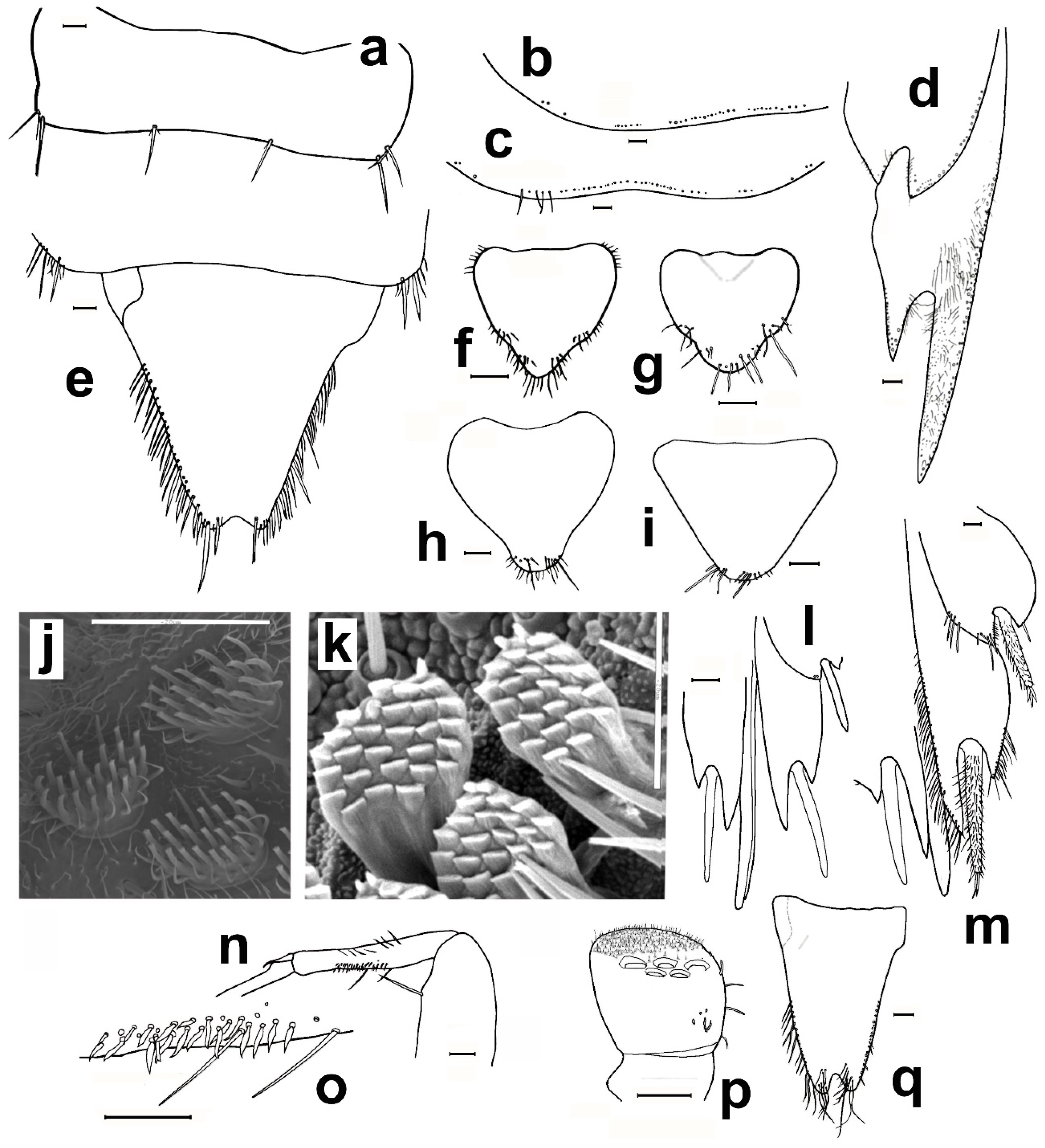 Diversity 15 00635 g014 Diversity 15 00635 g014