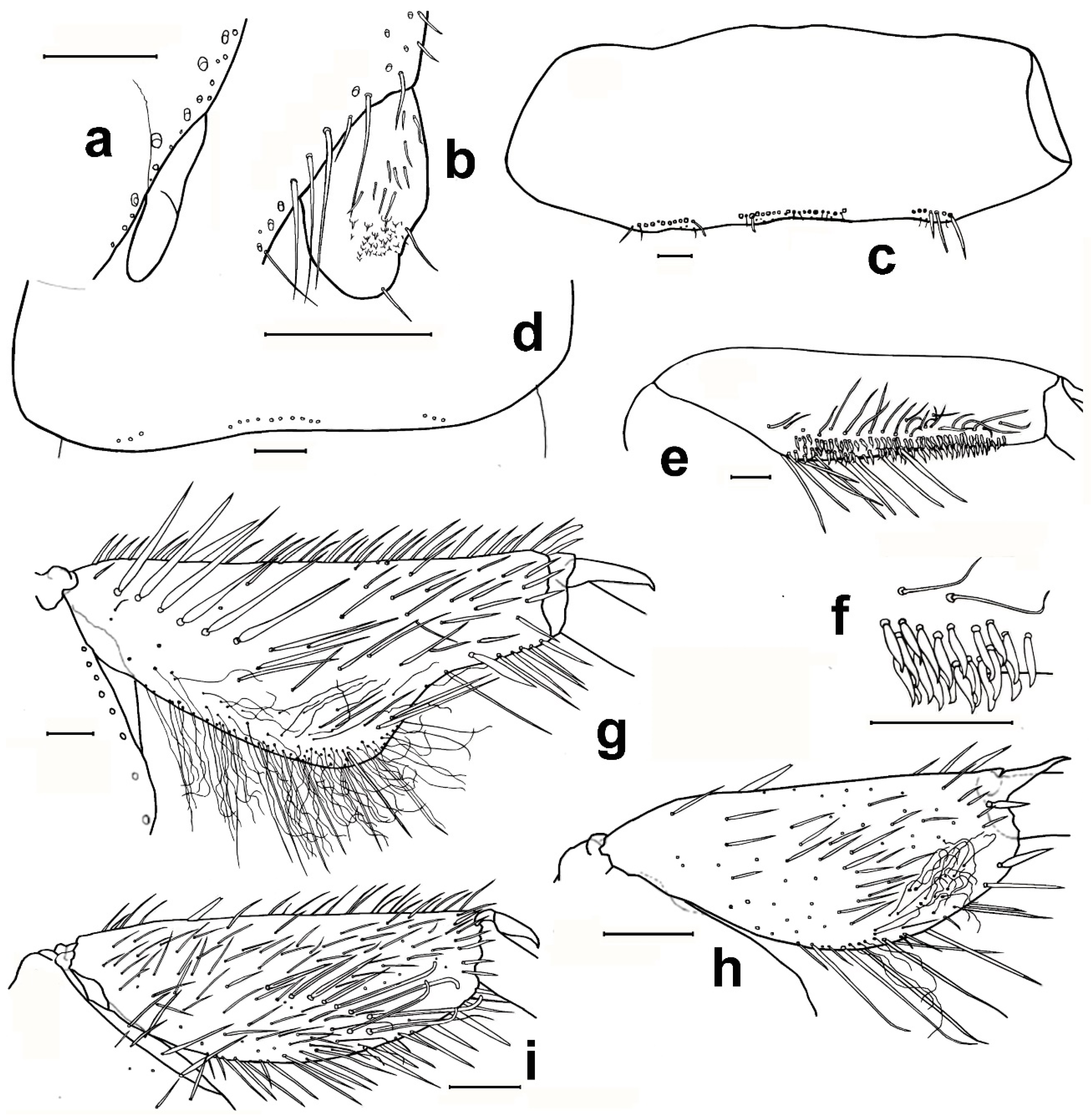 Diversity 15 00635 g015 Diversity 15 00635 g015