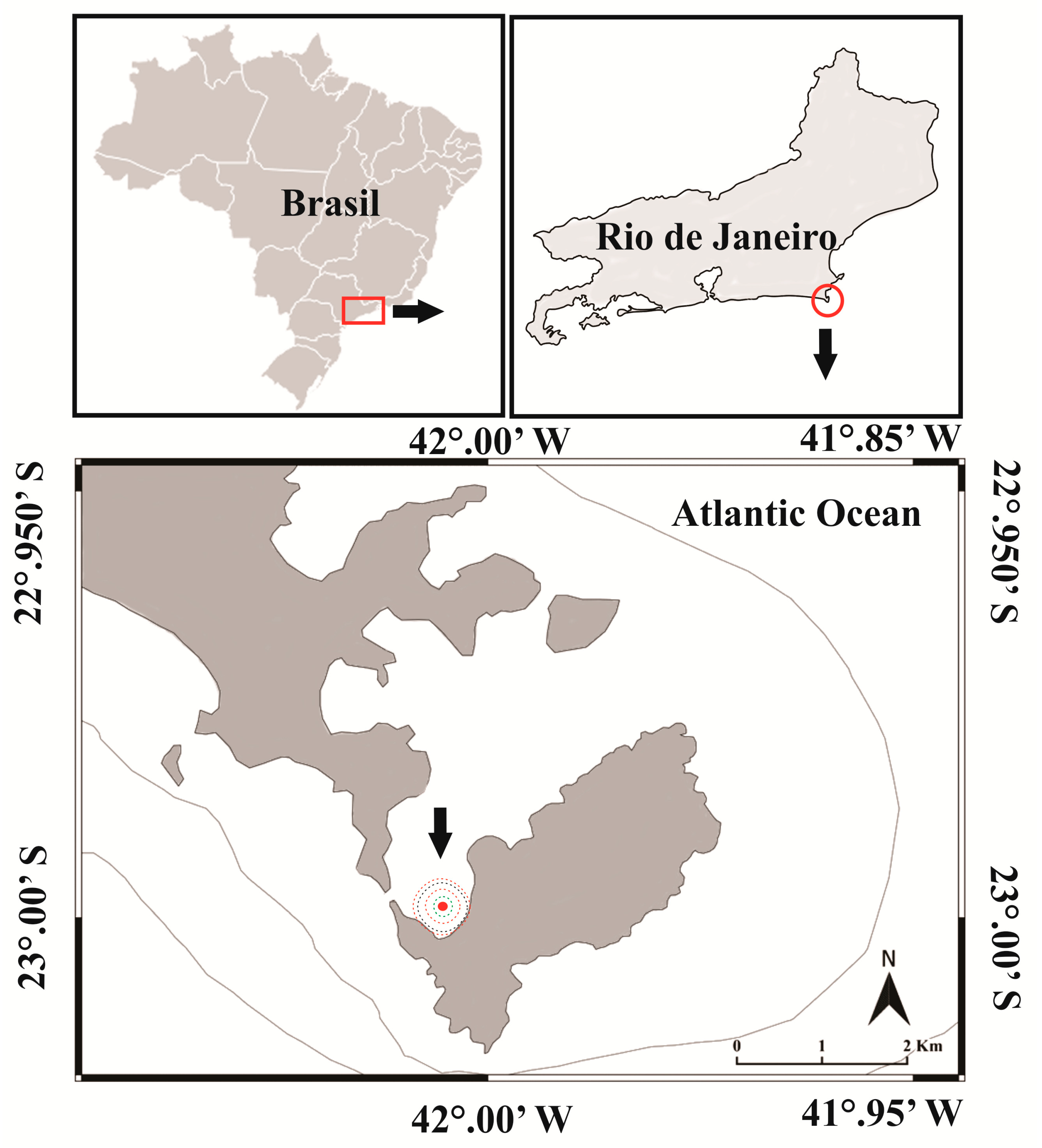 MARAJÓ NOTÍCIAS: janeiro 2016