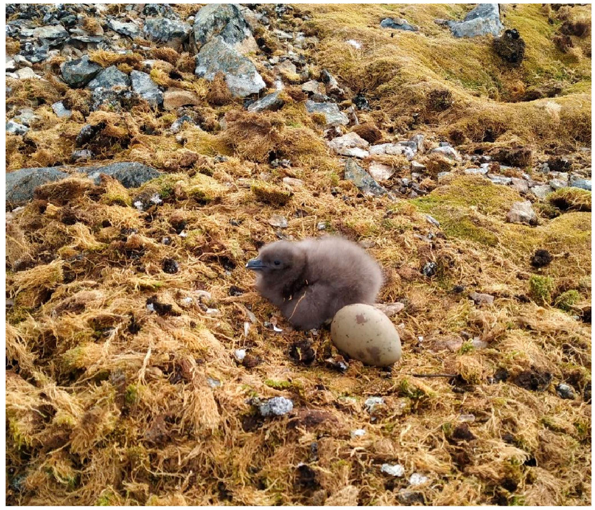 Diversity 15 00638 g006 Diversity 15 00638 g006