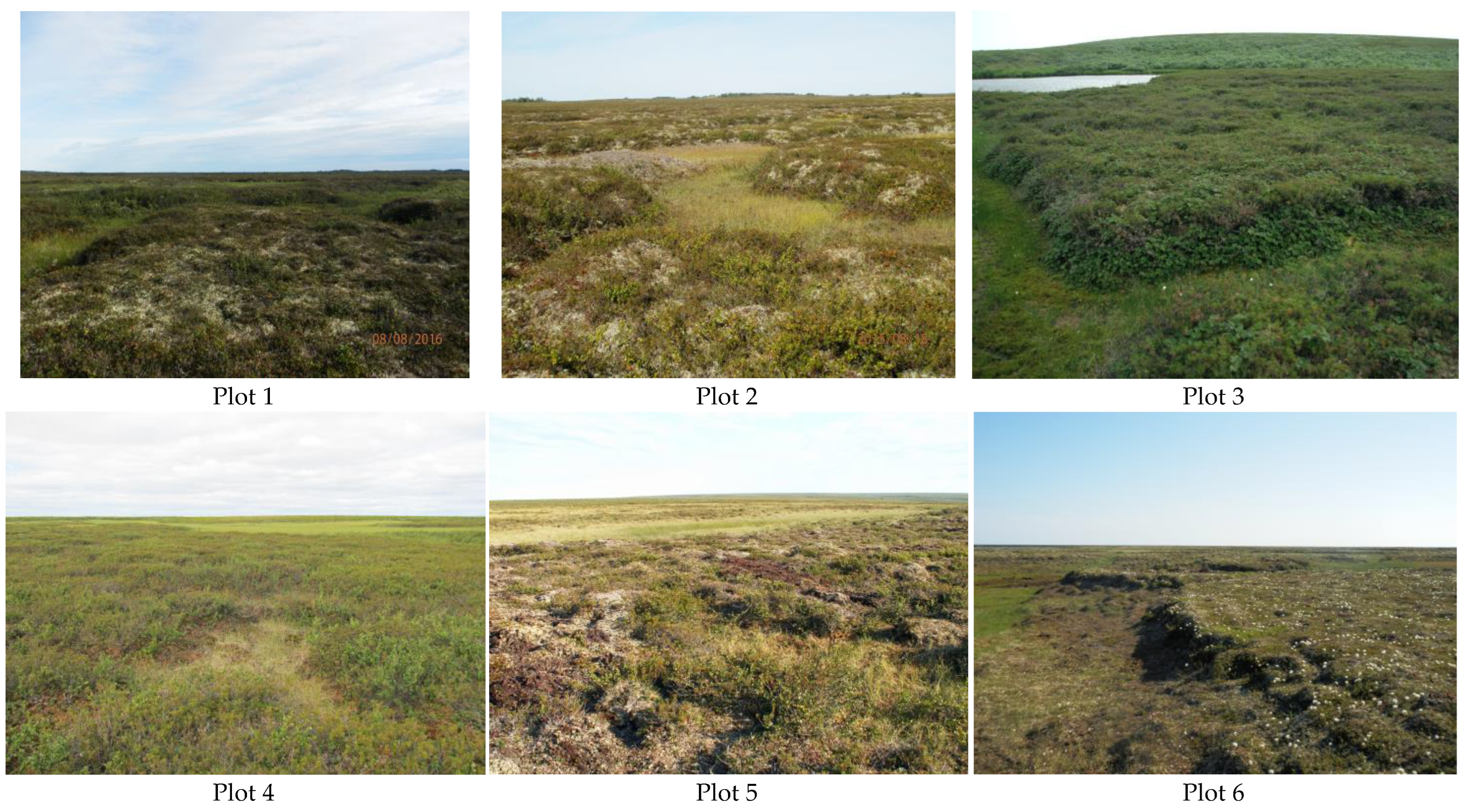 Diversity 15 00639 g002 Diversity 15 00639 g002