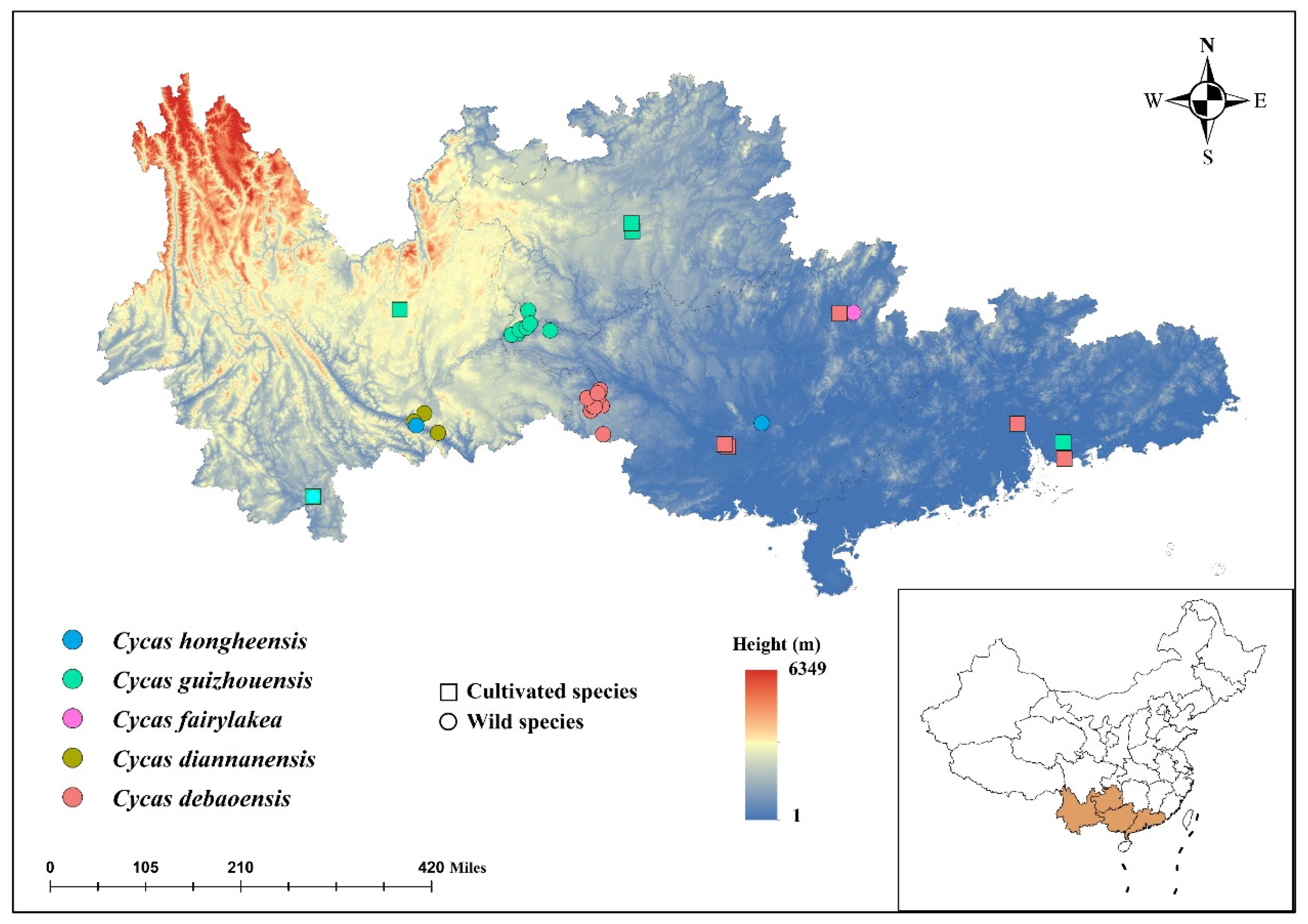Diversity 15 00643 g001