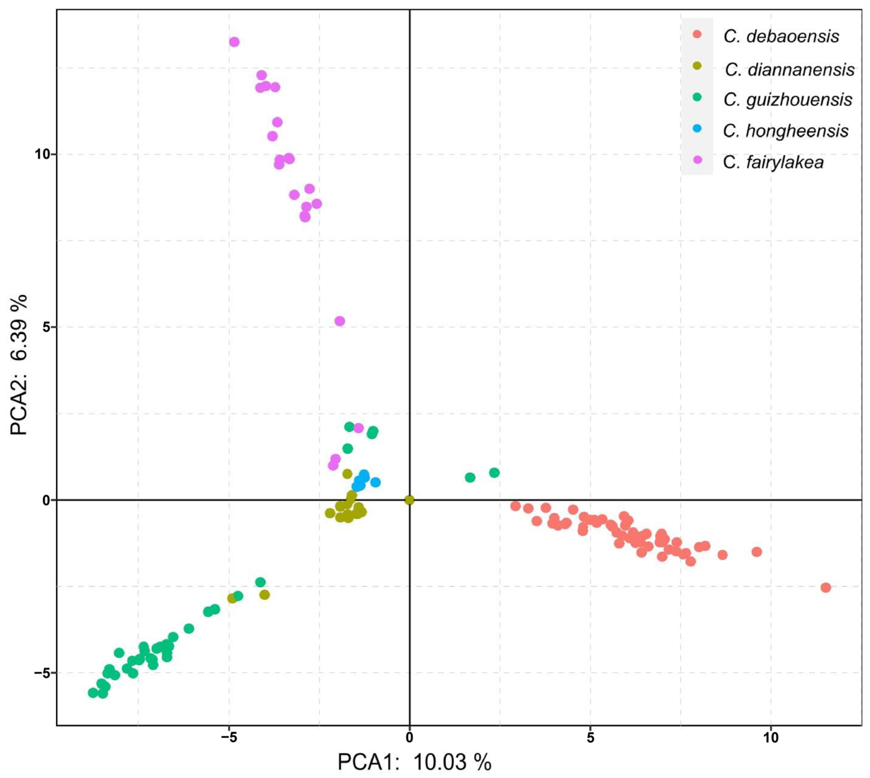 Diversity 15 00643 g003