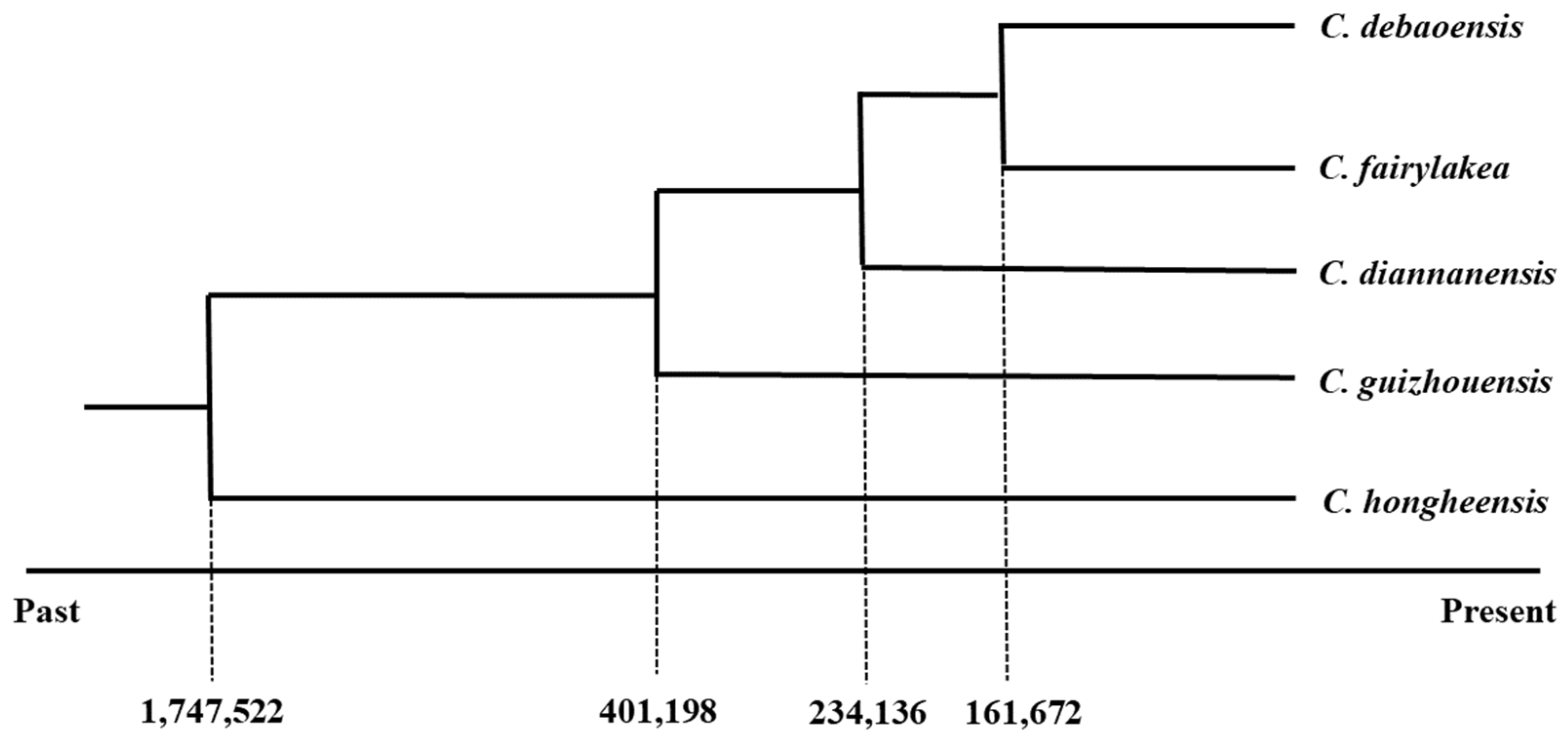 Diversity 15 00643 g005
