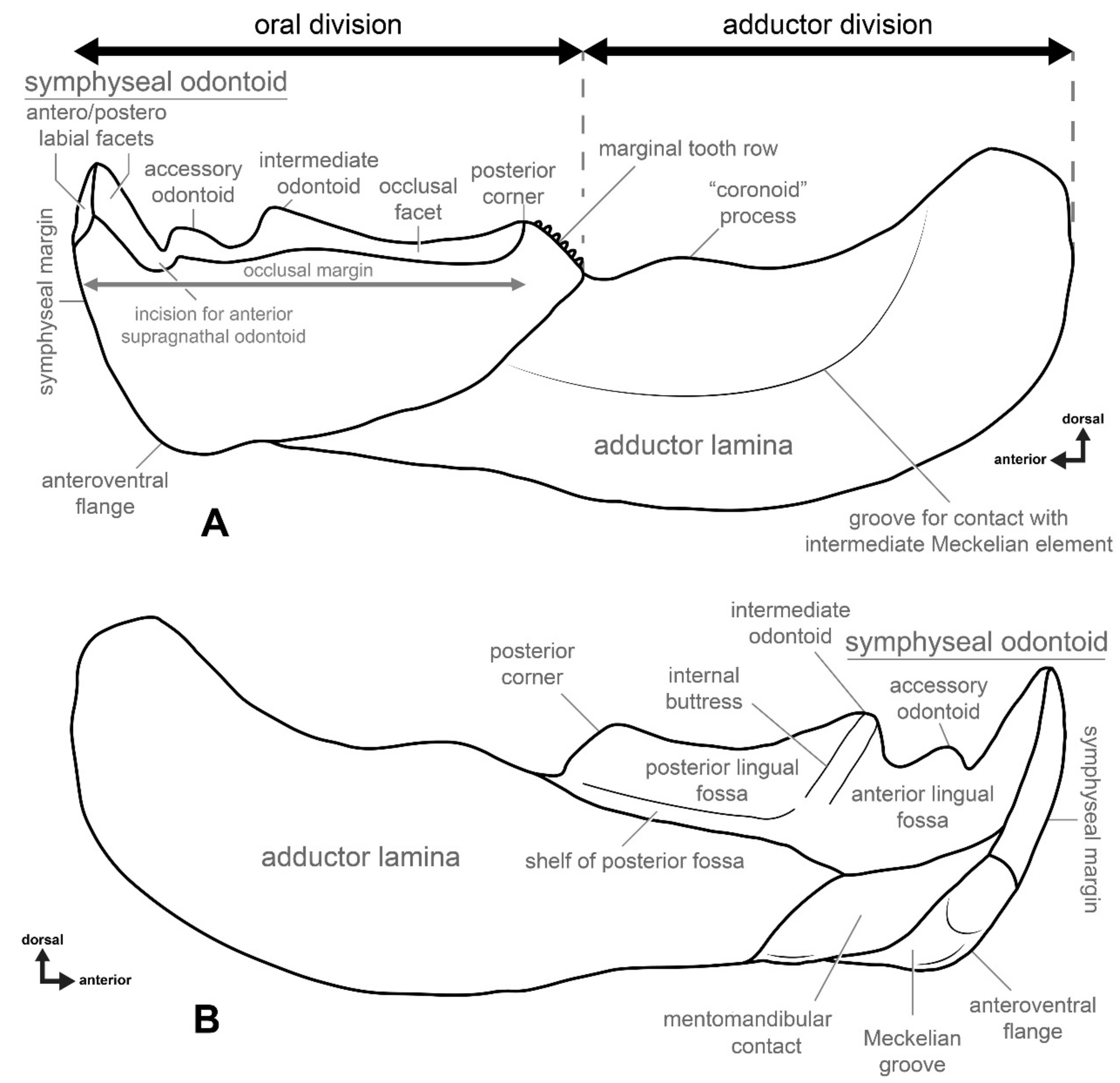 Diversity 15 00648 g002 Diversity 15 00648 g002